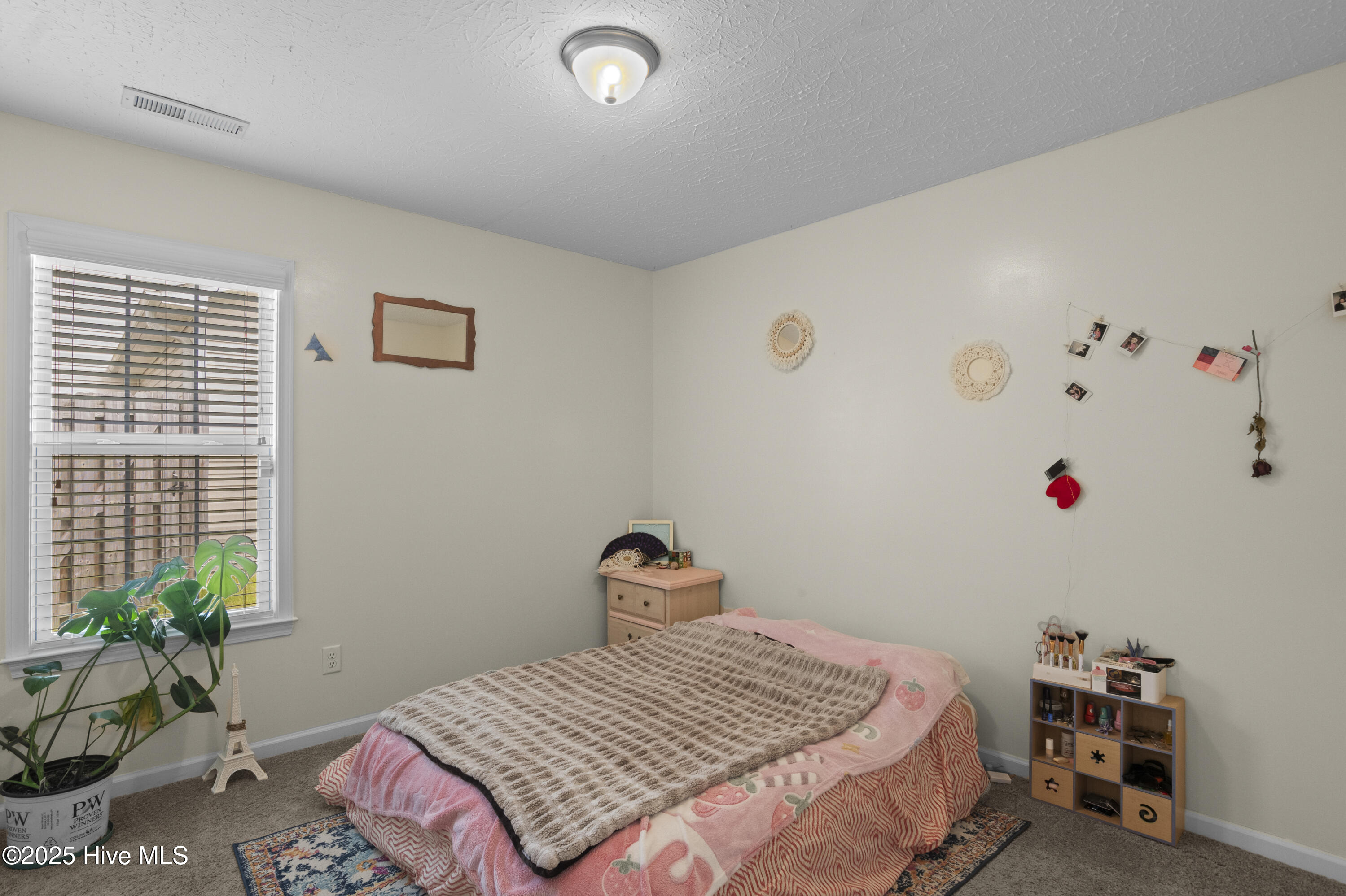 205 Belvedere Drive Property Photo 26