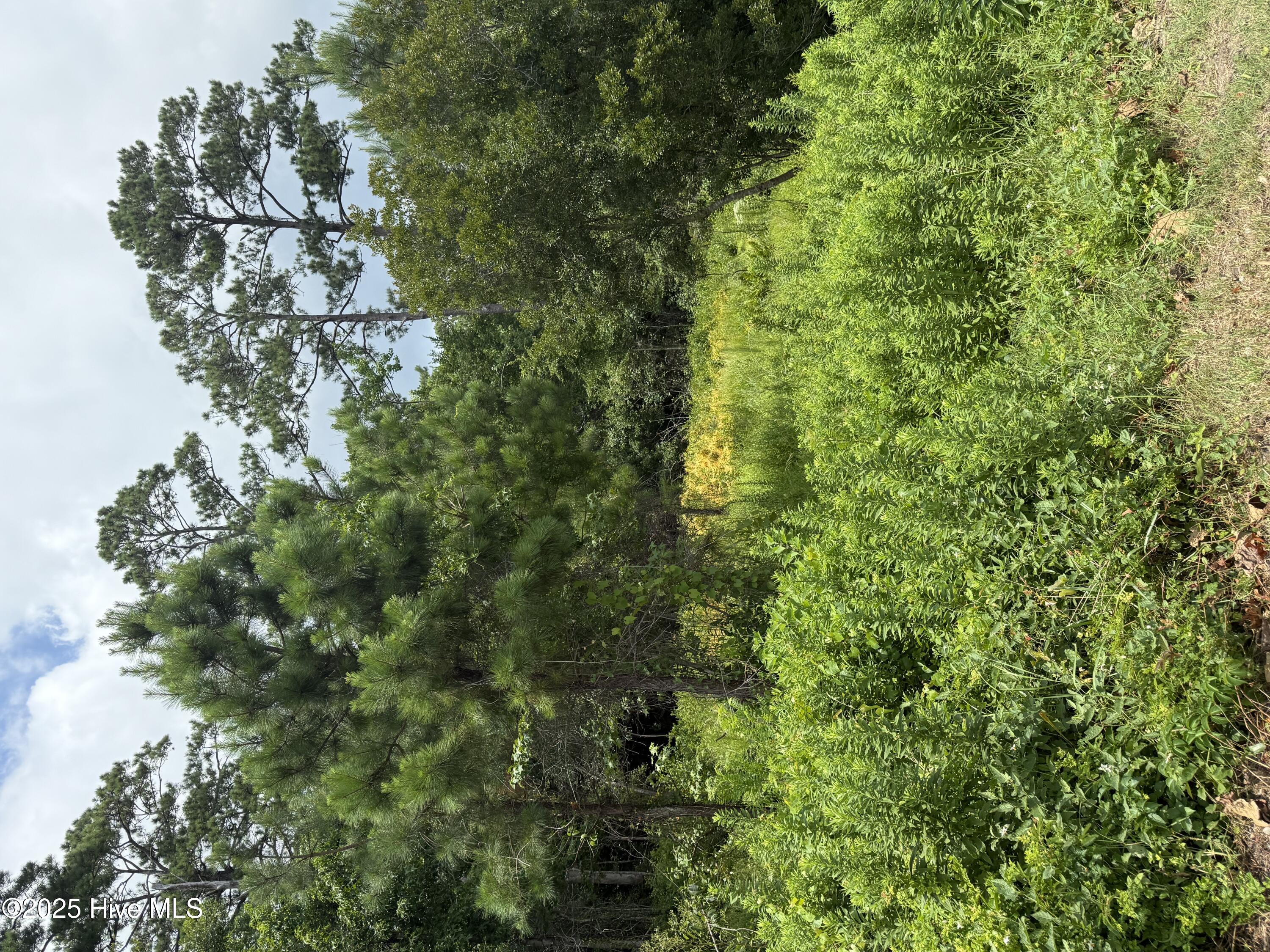 1015 Meridian Drive Property Photo 1