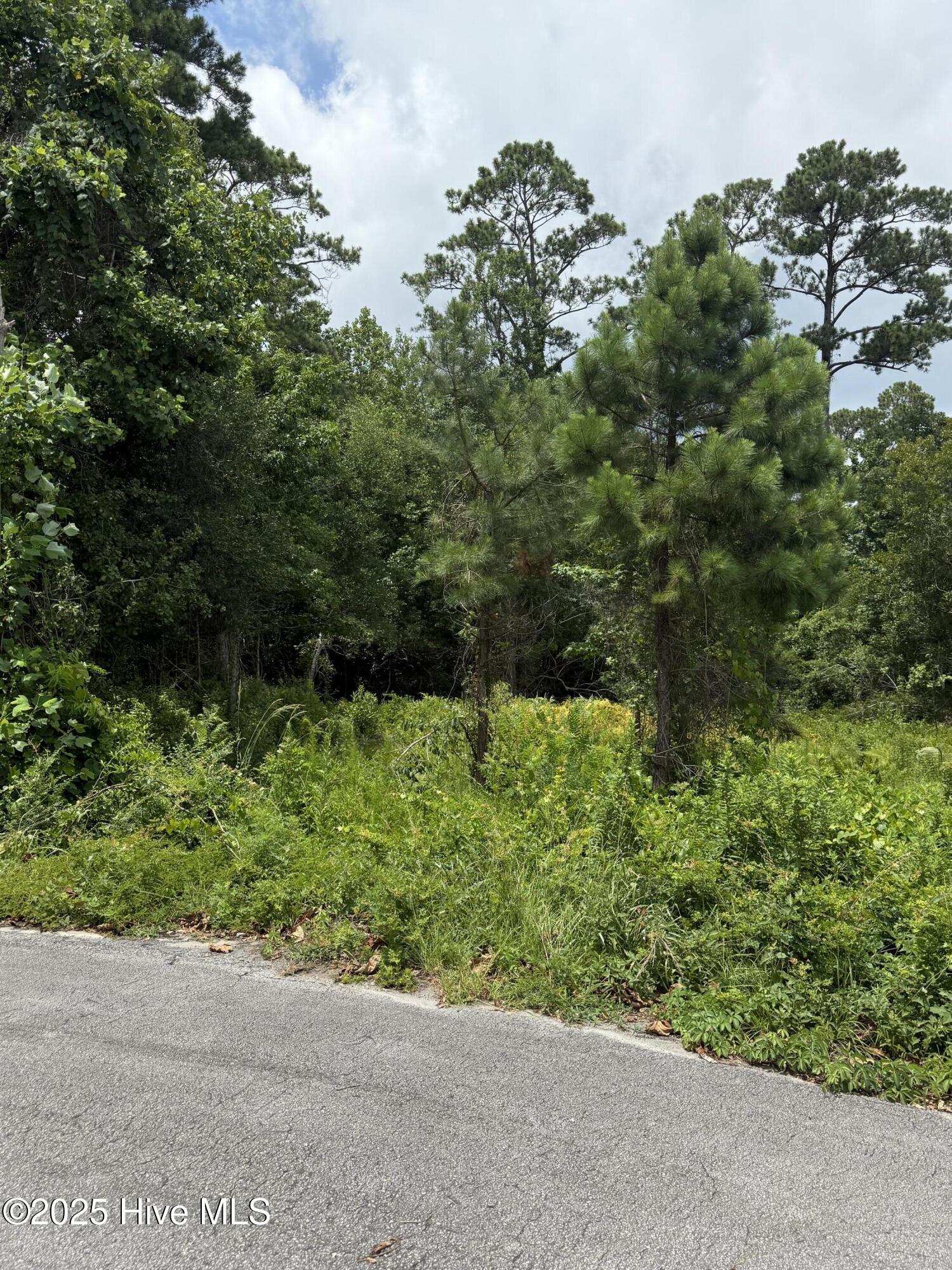 1015 Meridian Drive Property Photo 3