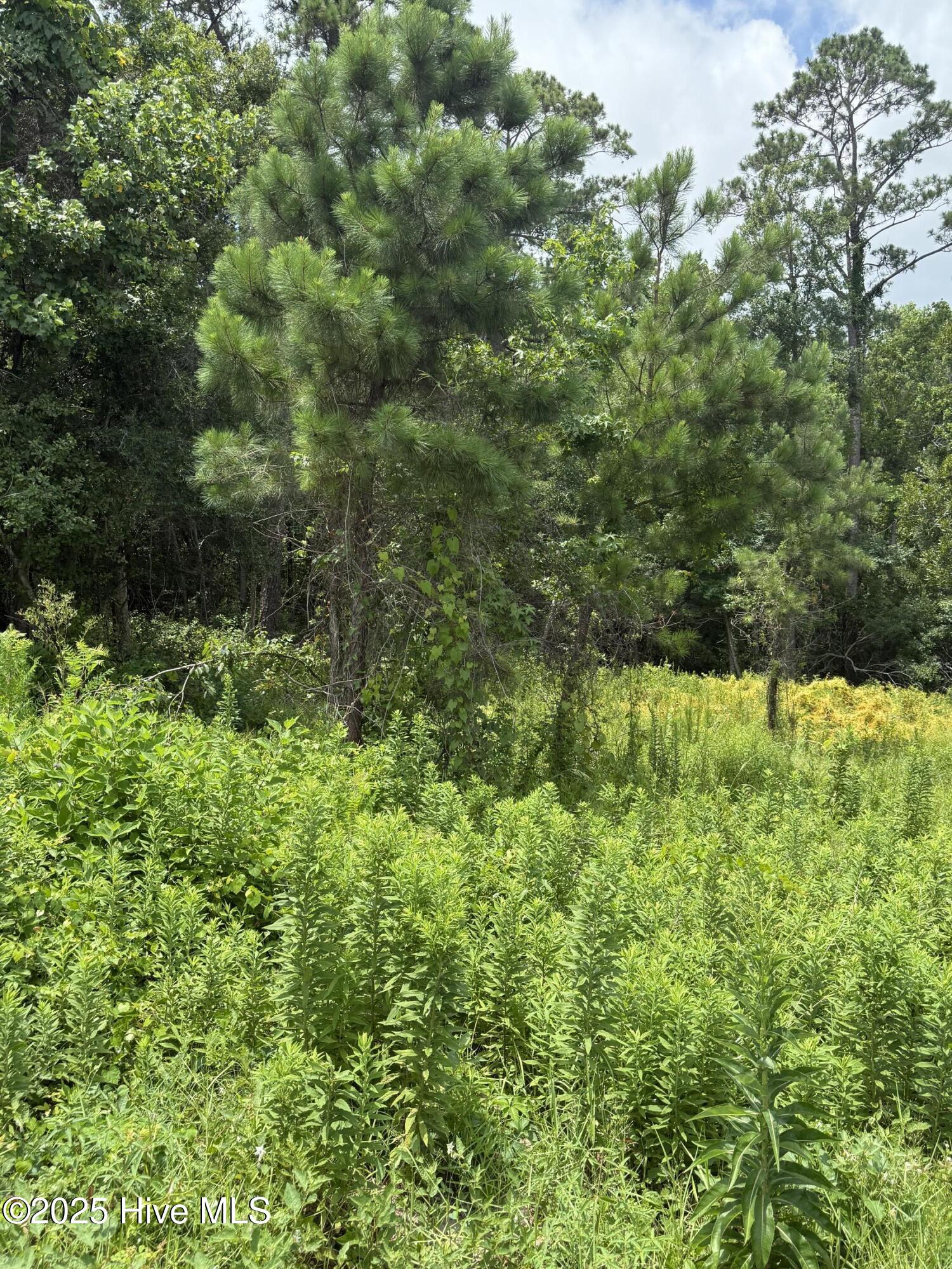 1015 Meridian Drive Property Photo 4