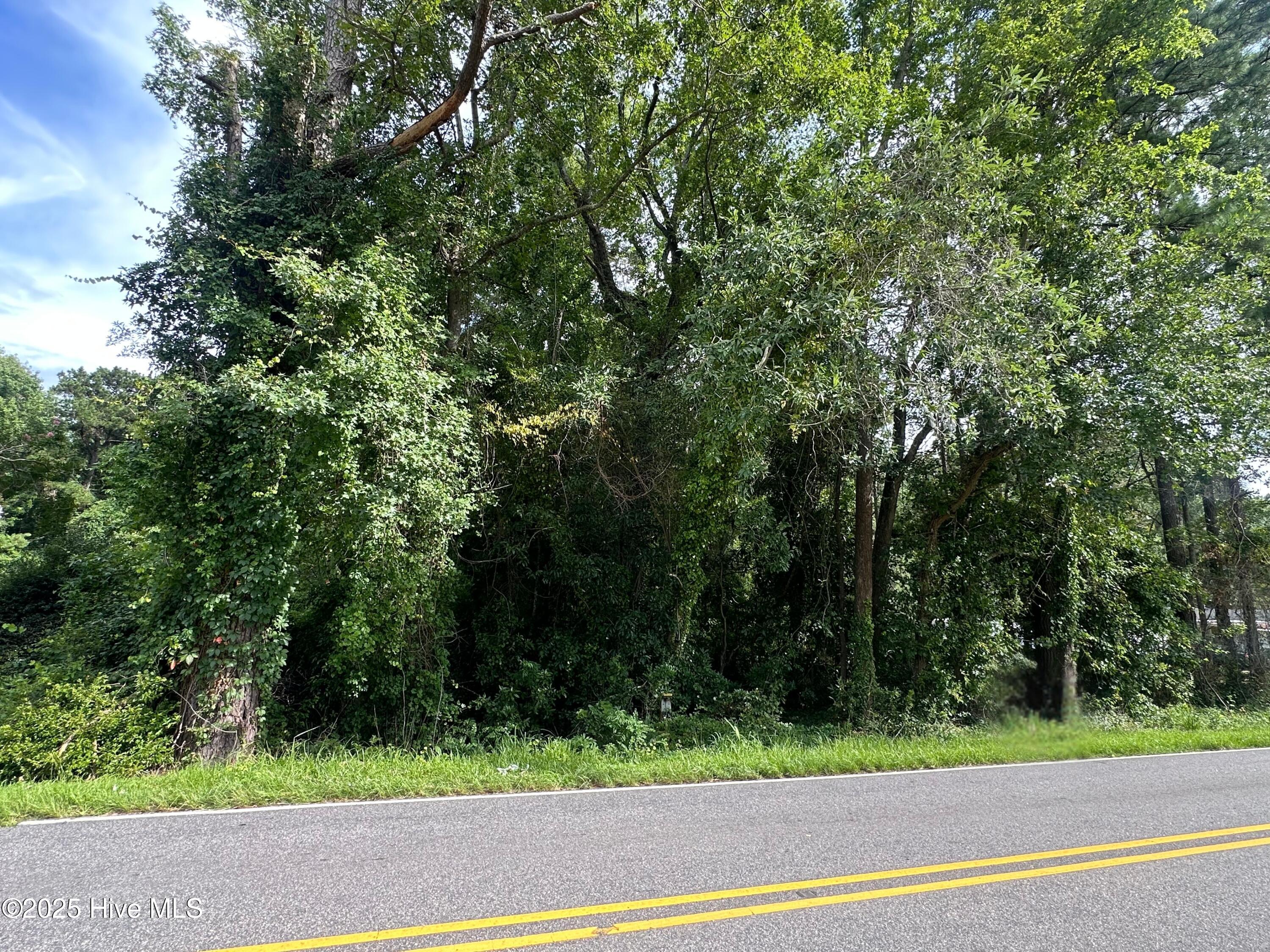 020425 Whitehall Road