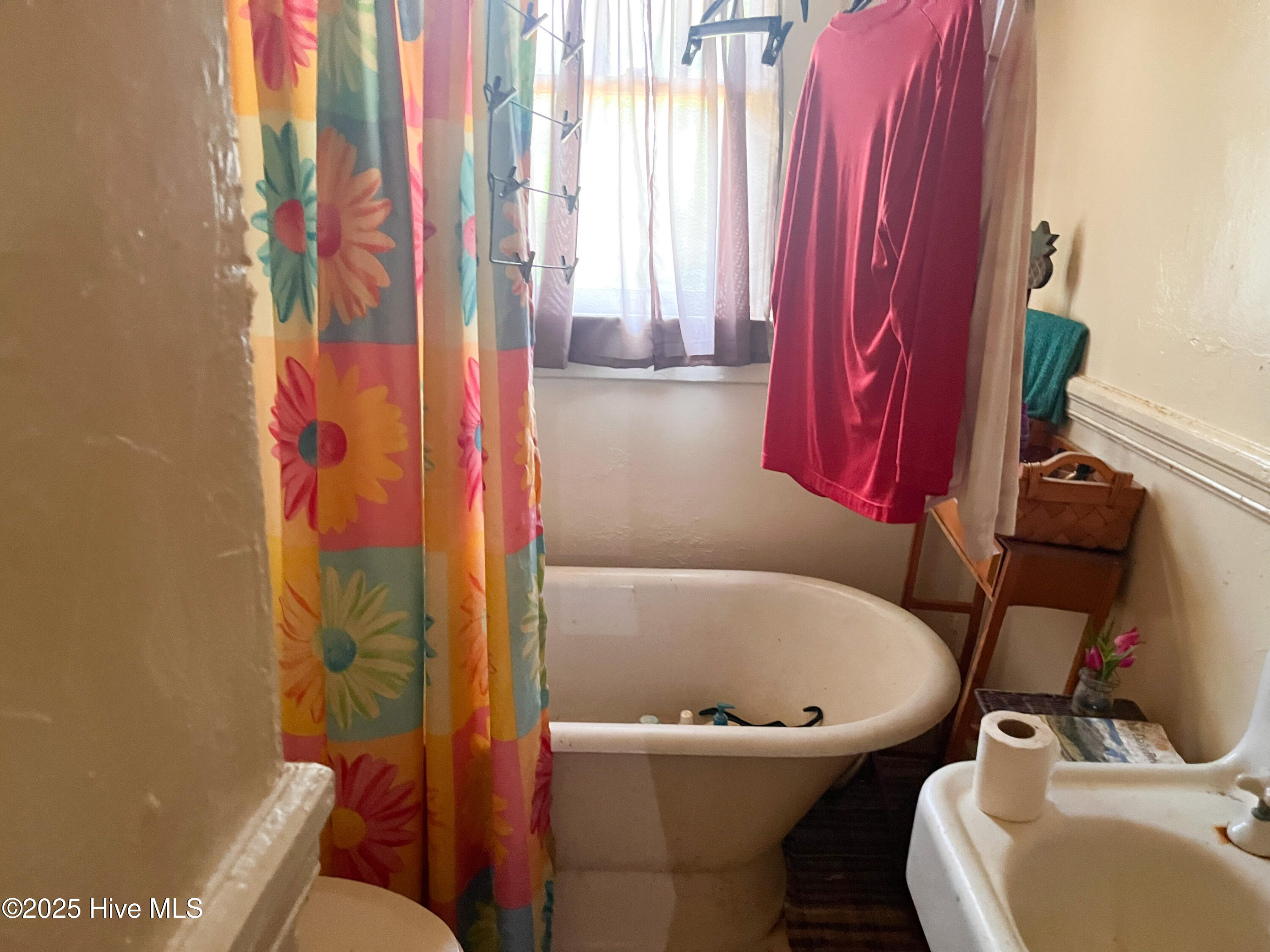 207 Rice Street Property Photo 5