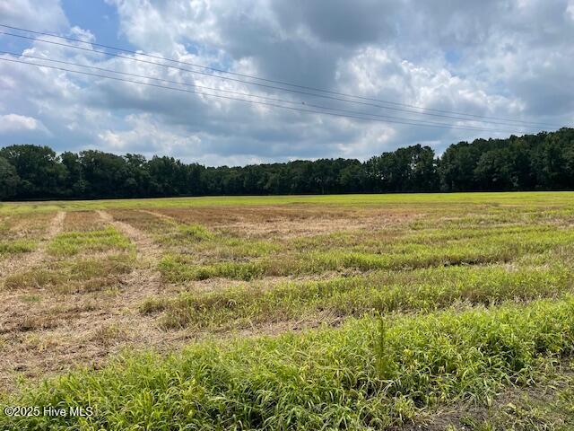 00 Fire Tower Road Property Photo 4