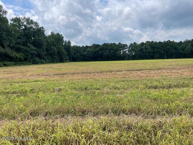 00 Fire Tower Road Property Photo 10