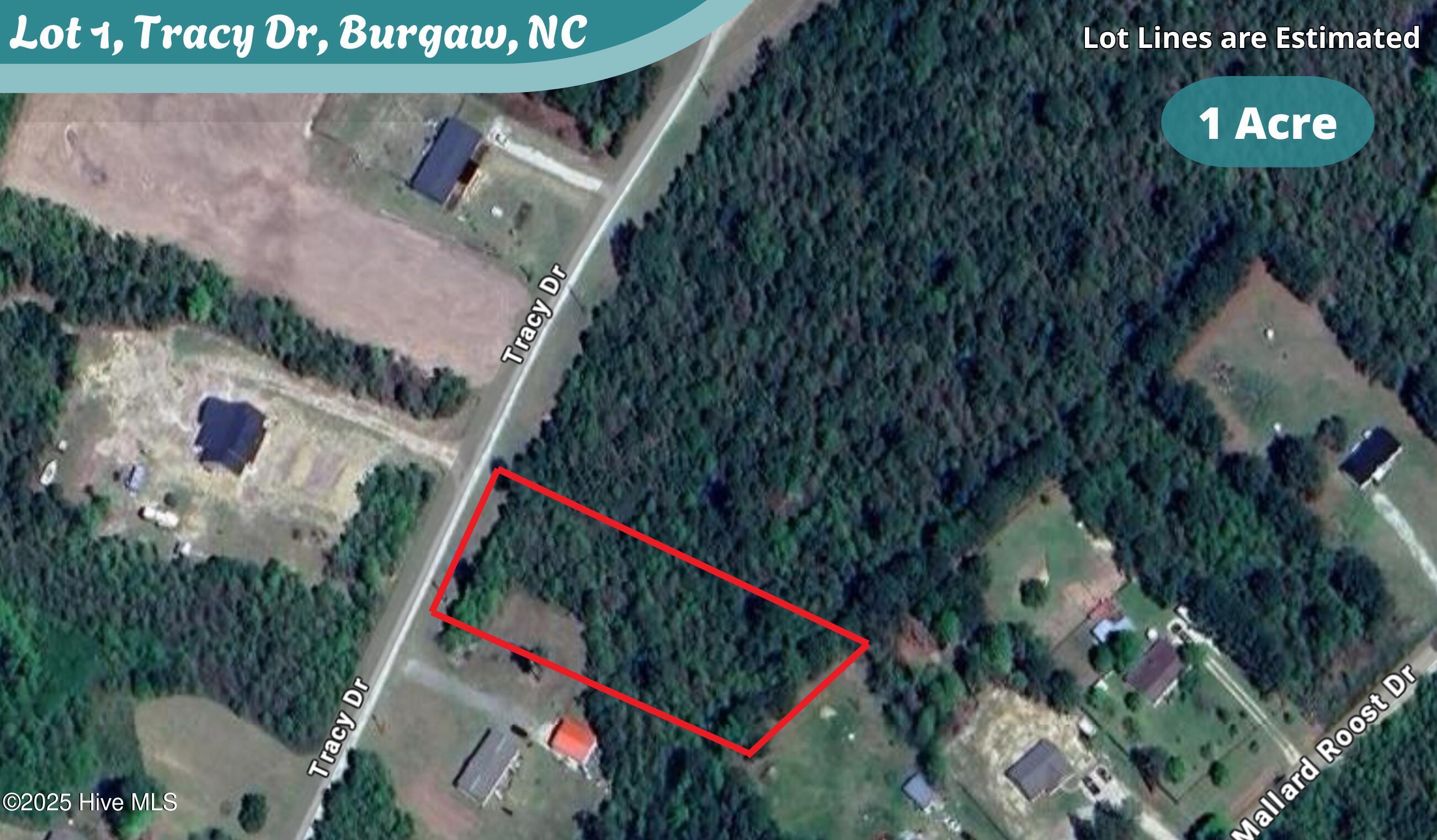 Lot 1 Tracy Drive Property Photo 1