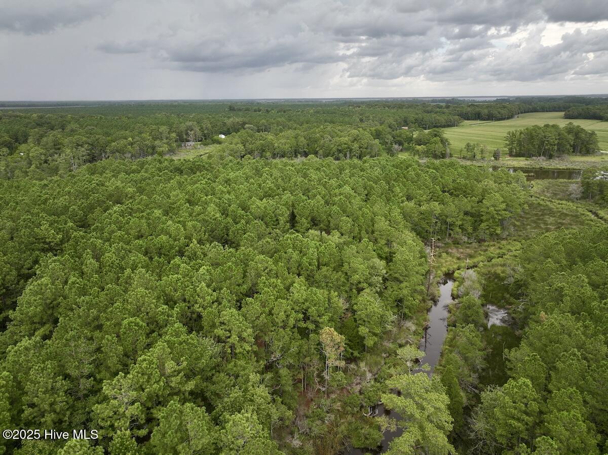 337 Pamlico Beach Road Property Photo 6
