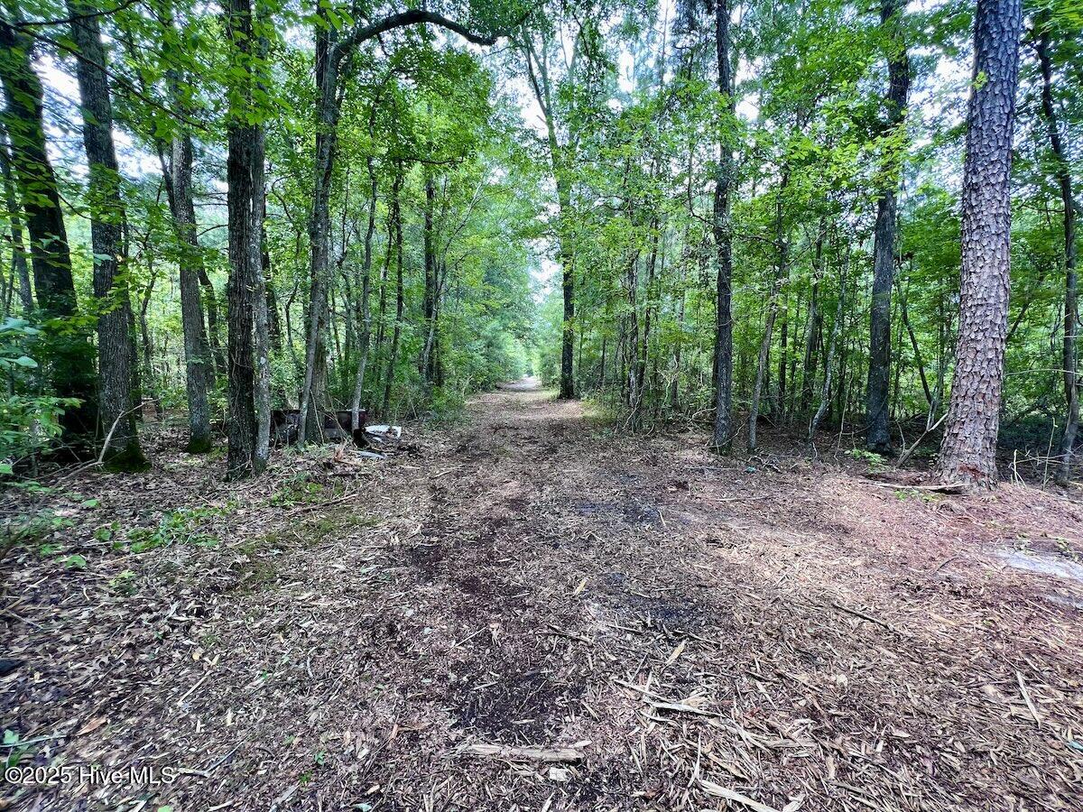 337 Pamlico Beach Road Property Photo 12