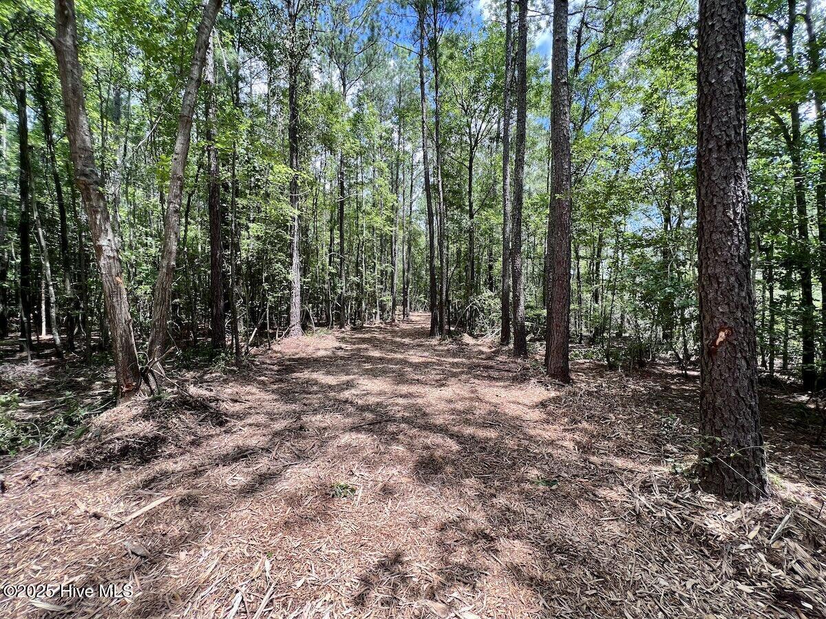 337 Pamlico Beach Road Property Photo 13