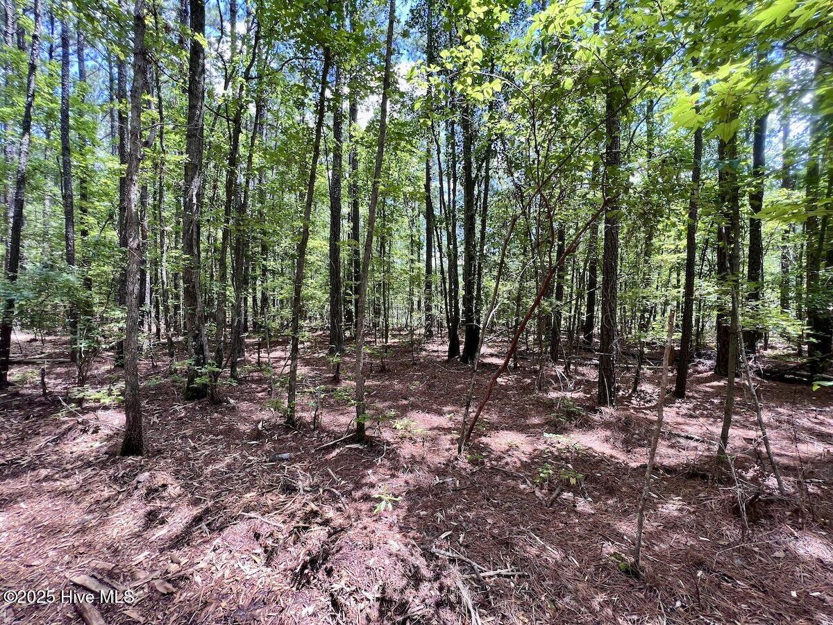 337 Pamlico Beach Road Property Photo 15