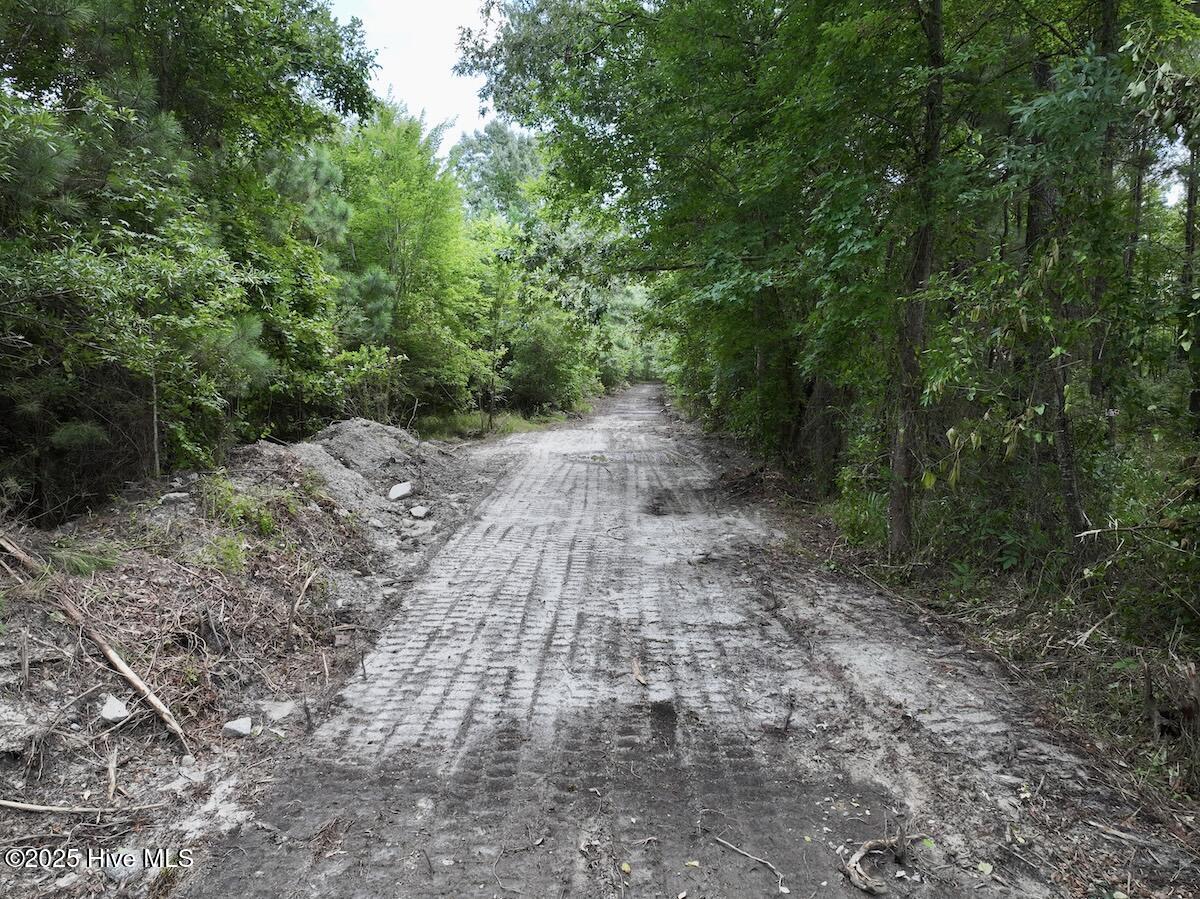 337 Pamlico Beach Road Property Photo 16