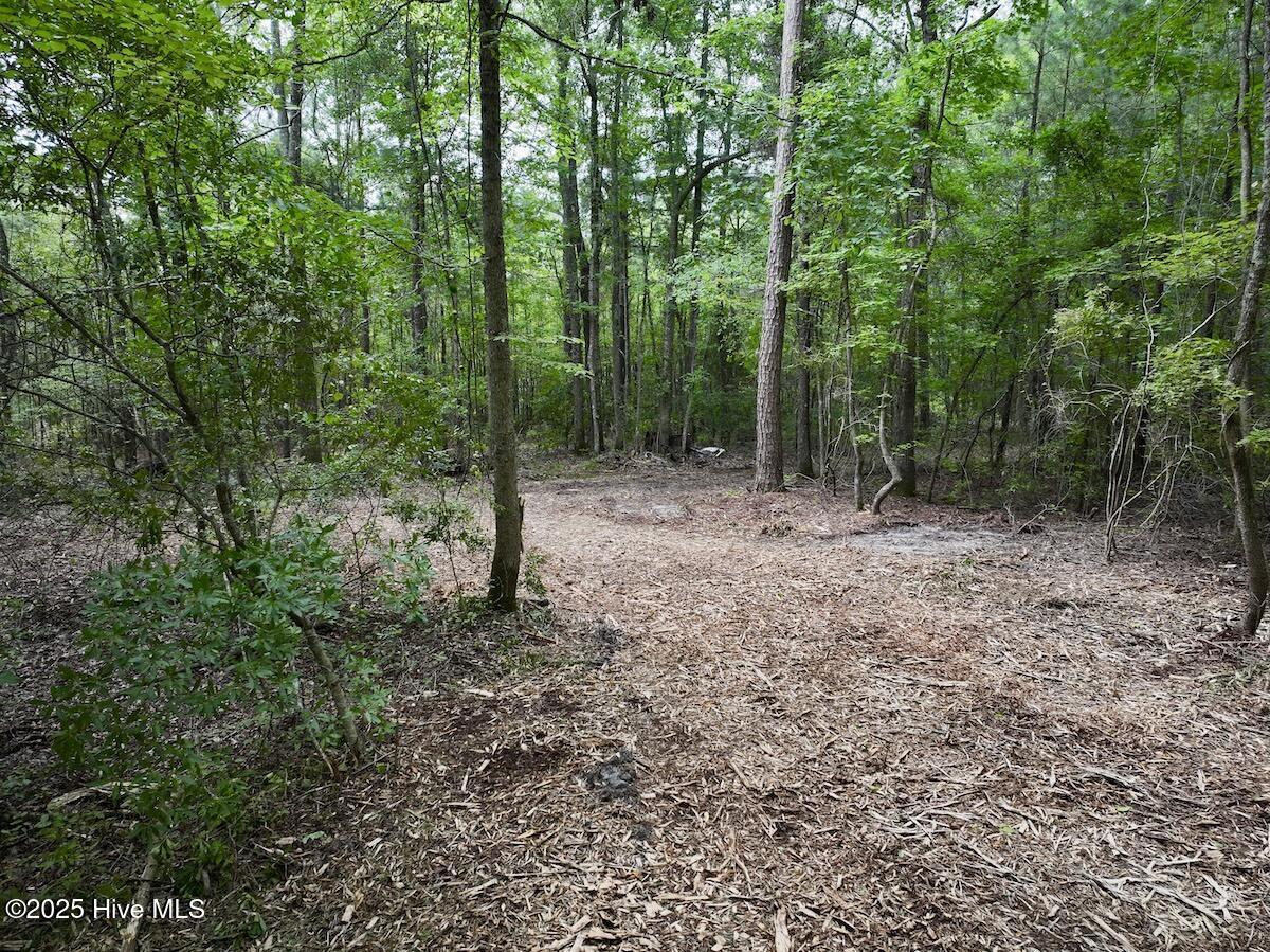 337 Pamlico Beach Road Property Photo 18