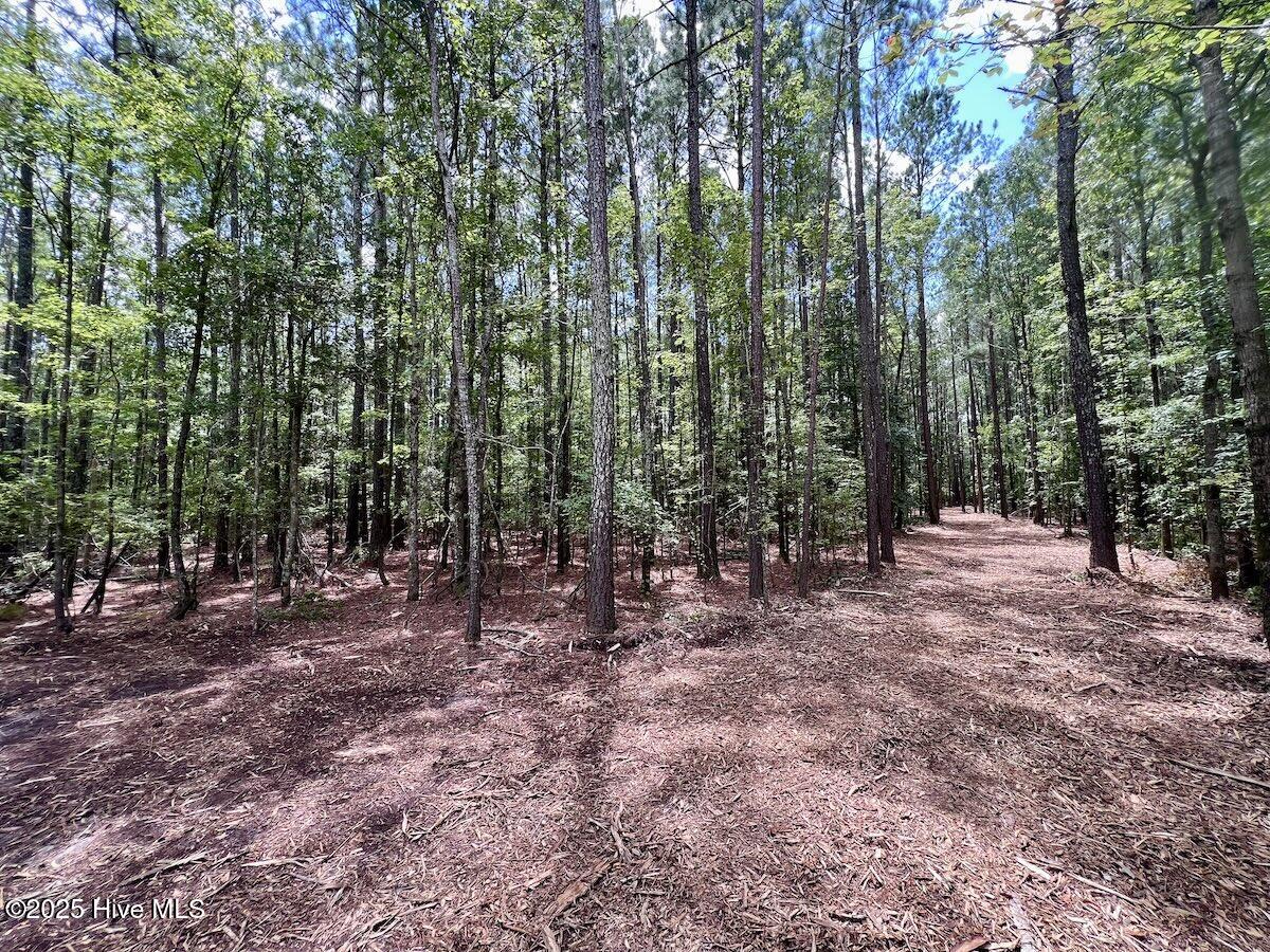 337 Pamlico Beach Road Property Photo 19