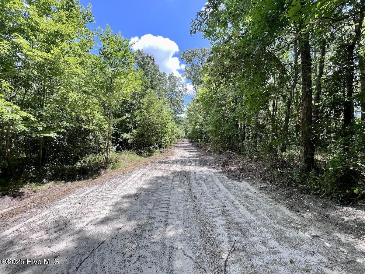 337 Pamlico Beach Road Property Photo 21