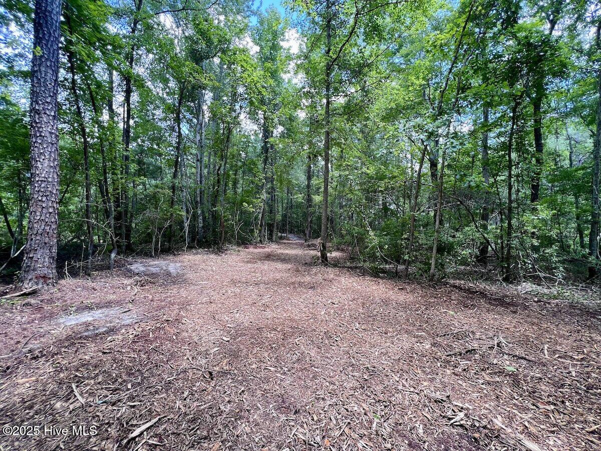 337 Pamlico Beach Road Property Photo 23