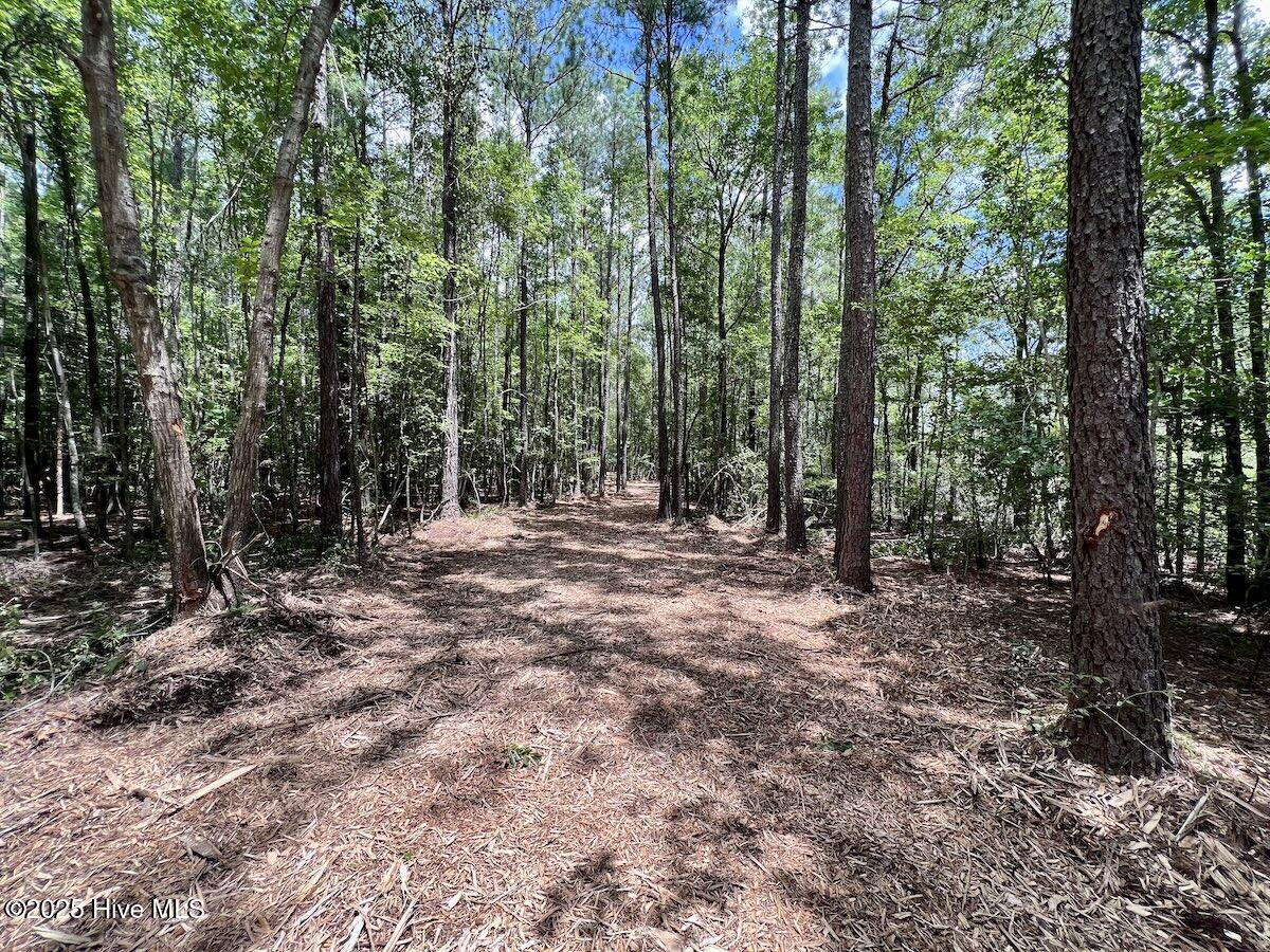 337 Pamlico Beach Road Property Photo 24