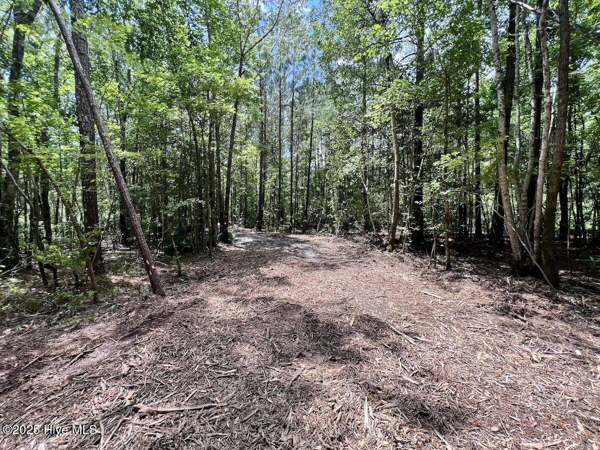 337 Pamlico Beach Road Property Photo 25
