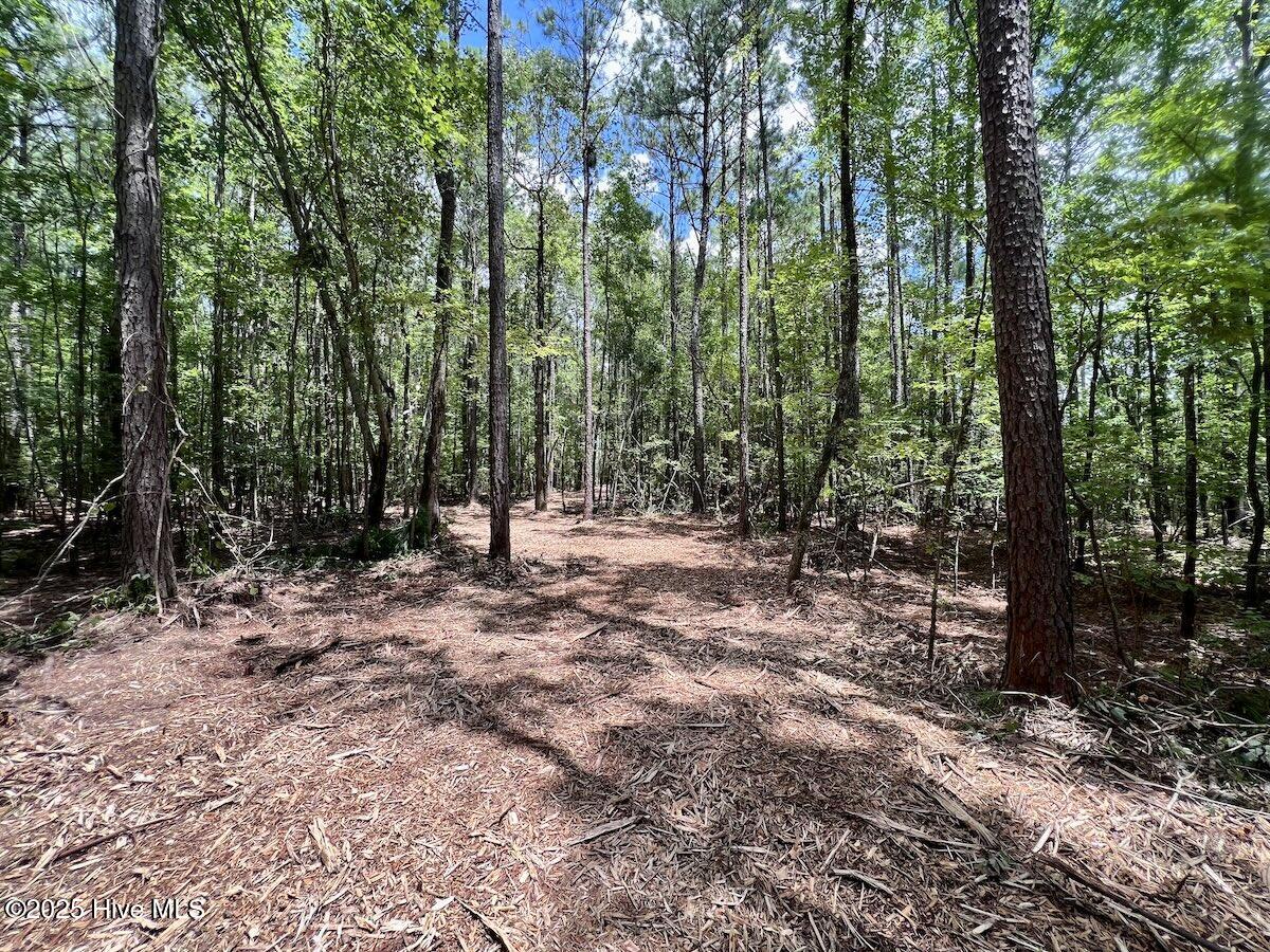 337 Pamlico Beach Road Property Photo 26