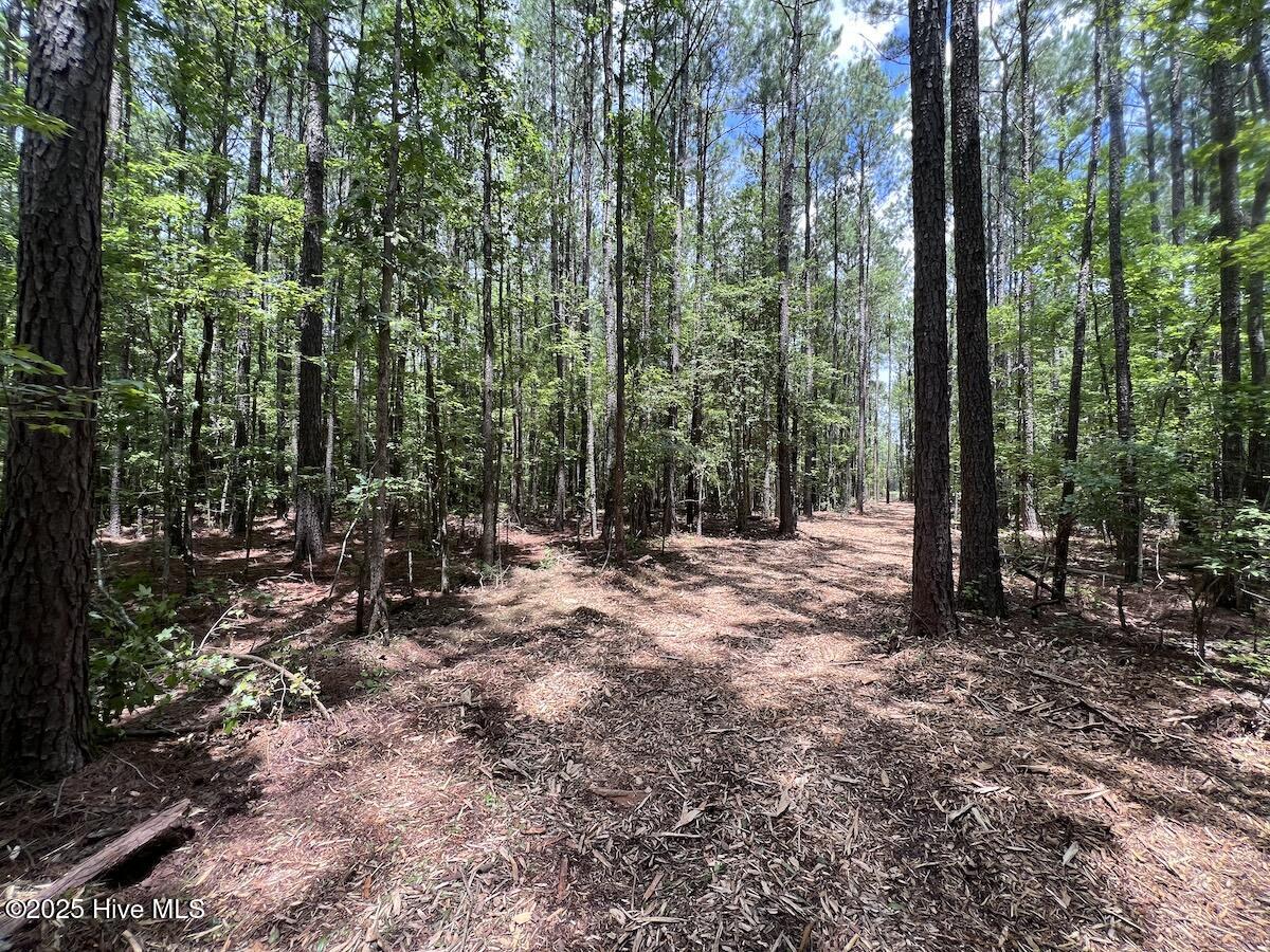 337 Pamlico Beach Road Property Photo 29