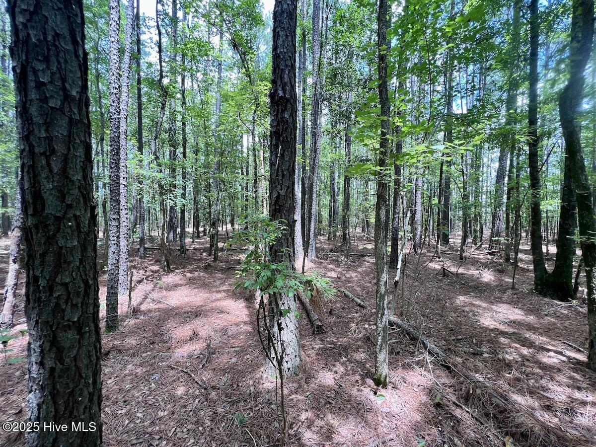 337 Pamlico Beach Road Property Photo 30