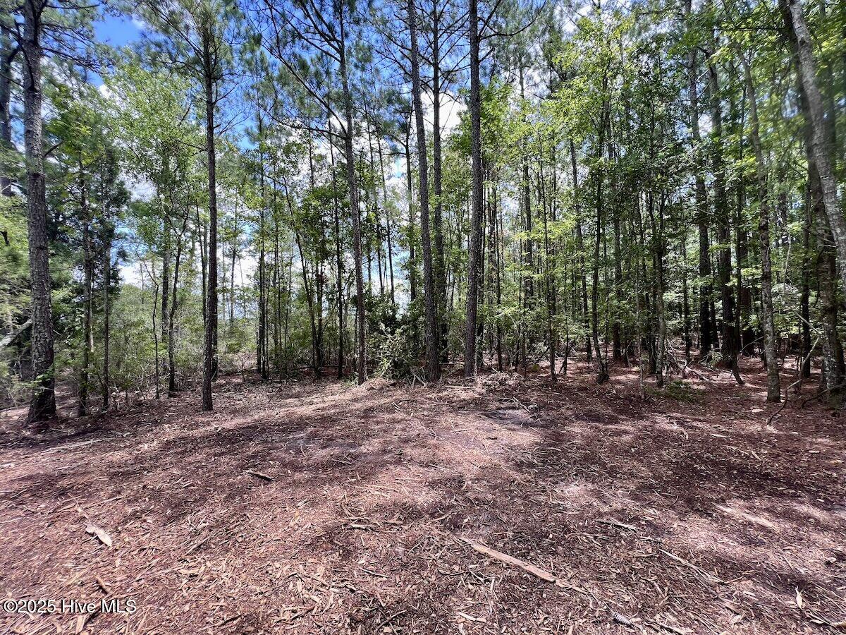 337 Pamlico Beach Road Property Photo 34