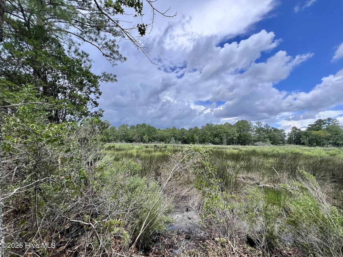 337 Pamlico Beach Road Property Photo 38