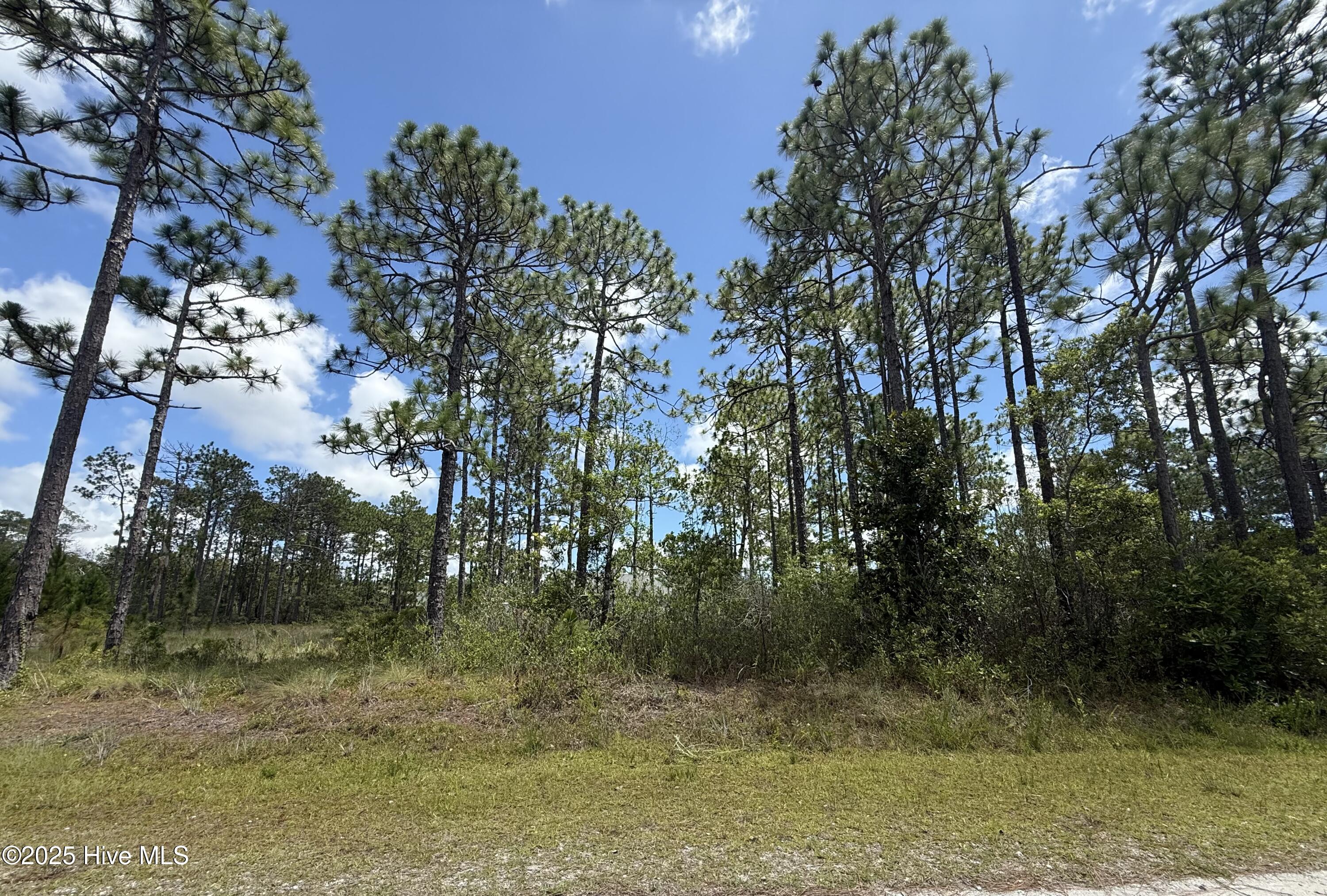 407 Sunset Road Property Photo 1