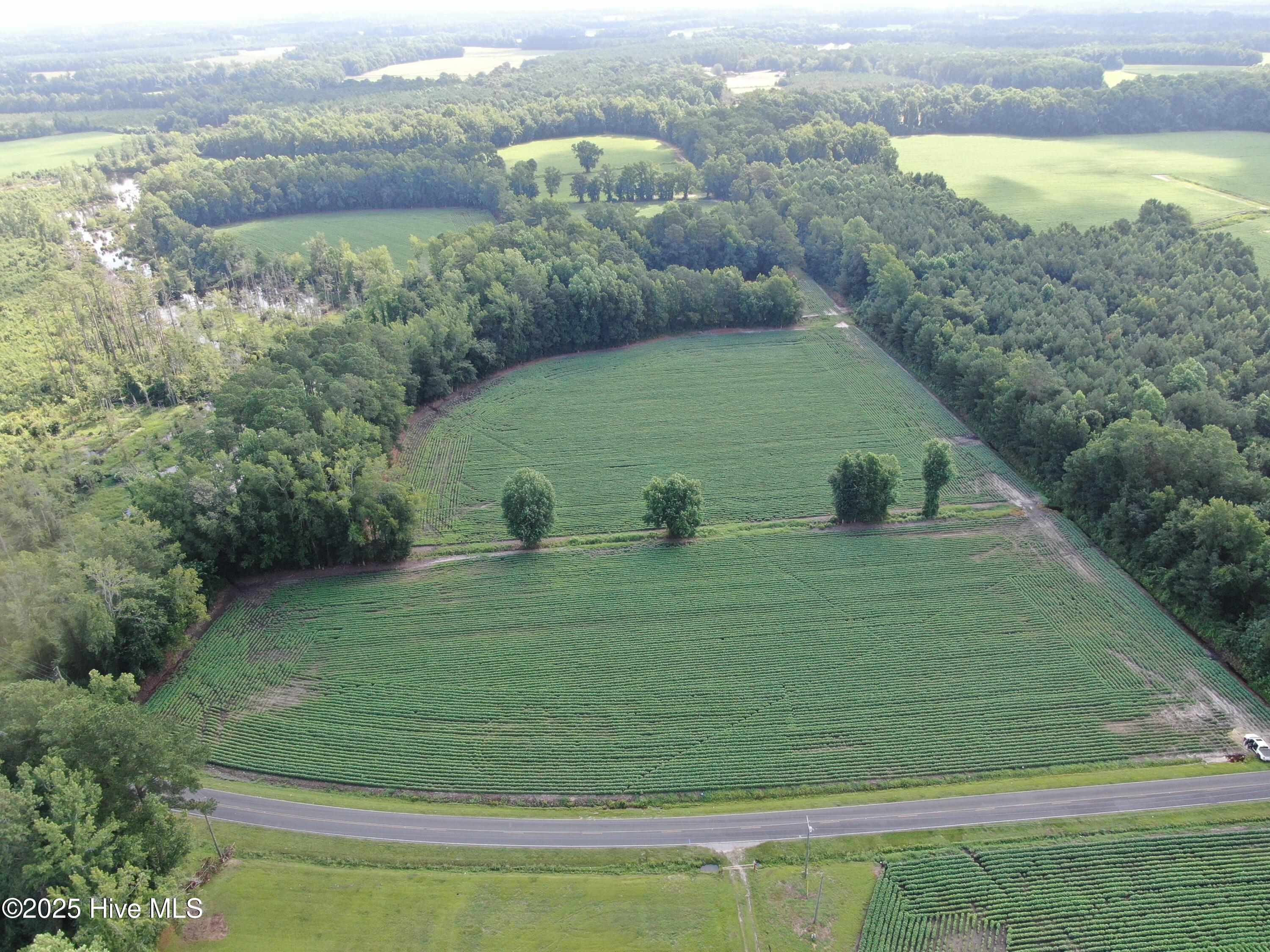Tbd Centerville Ch Road Property Photo 4