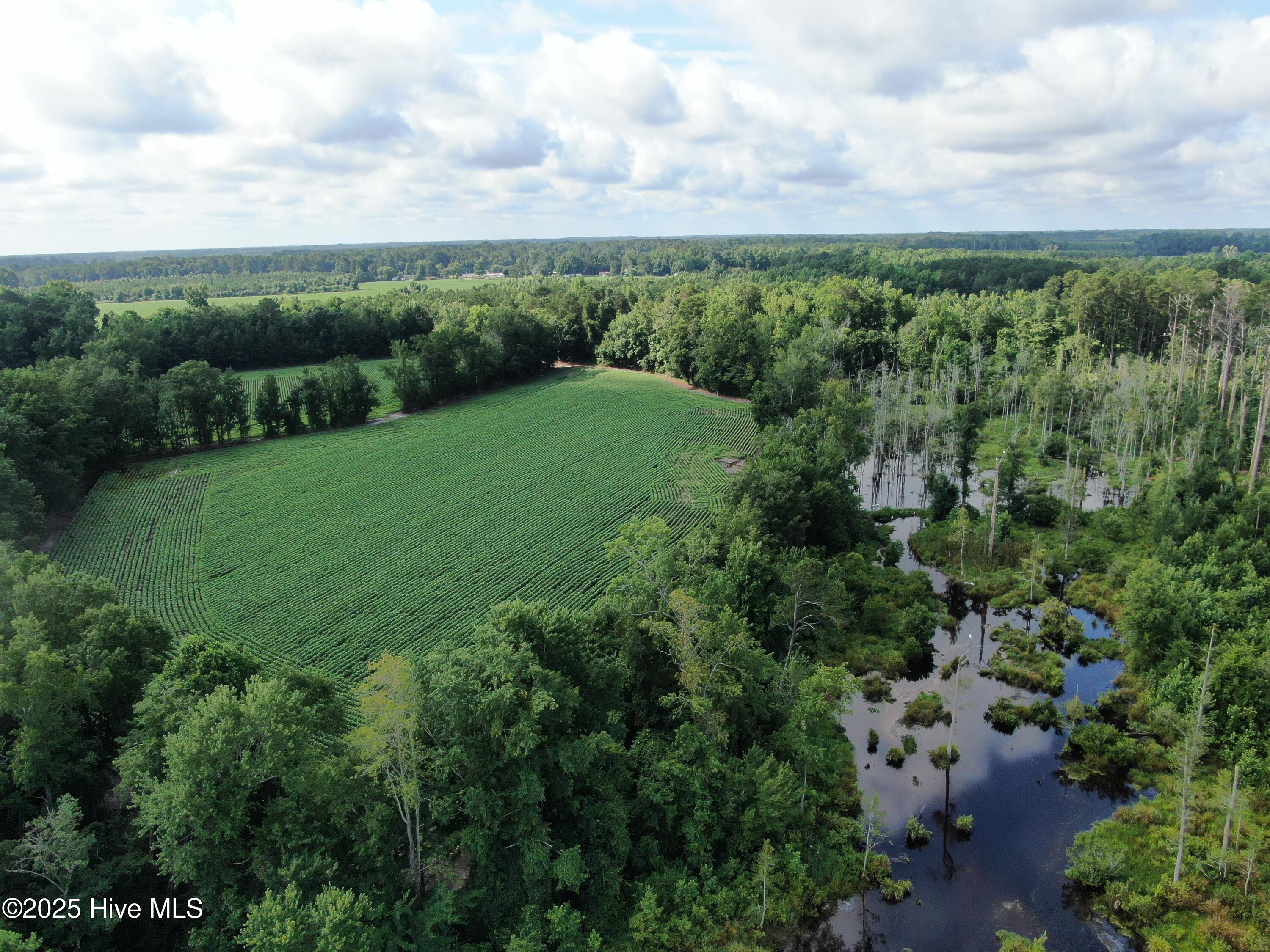 Tbd Centerville Ch Road Property Photo 5