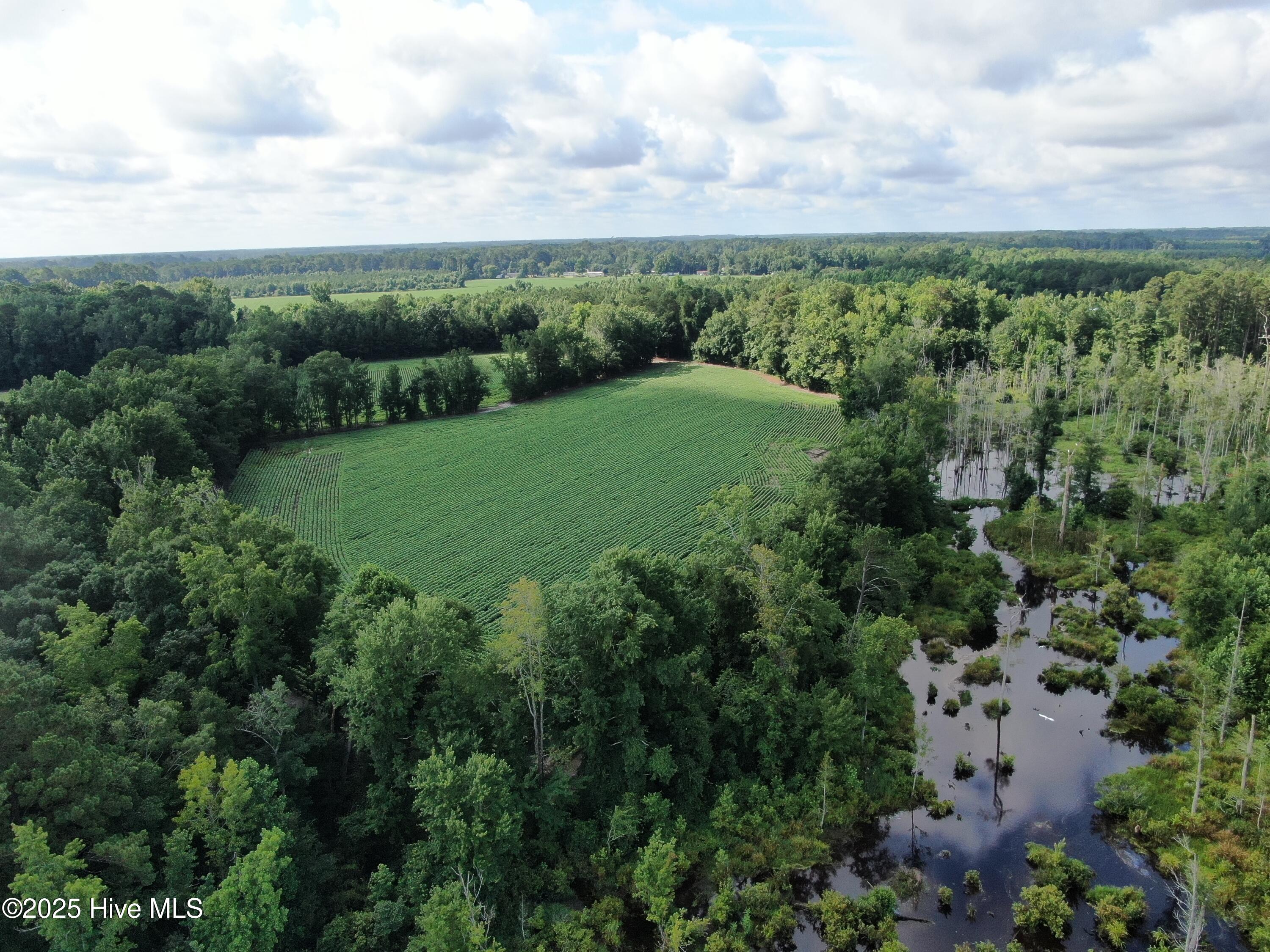 Tbd Centerville Ch Road Property Photo 6