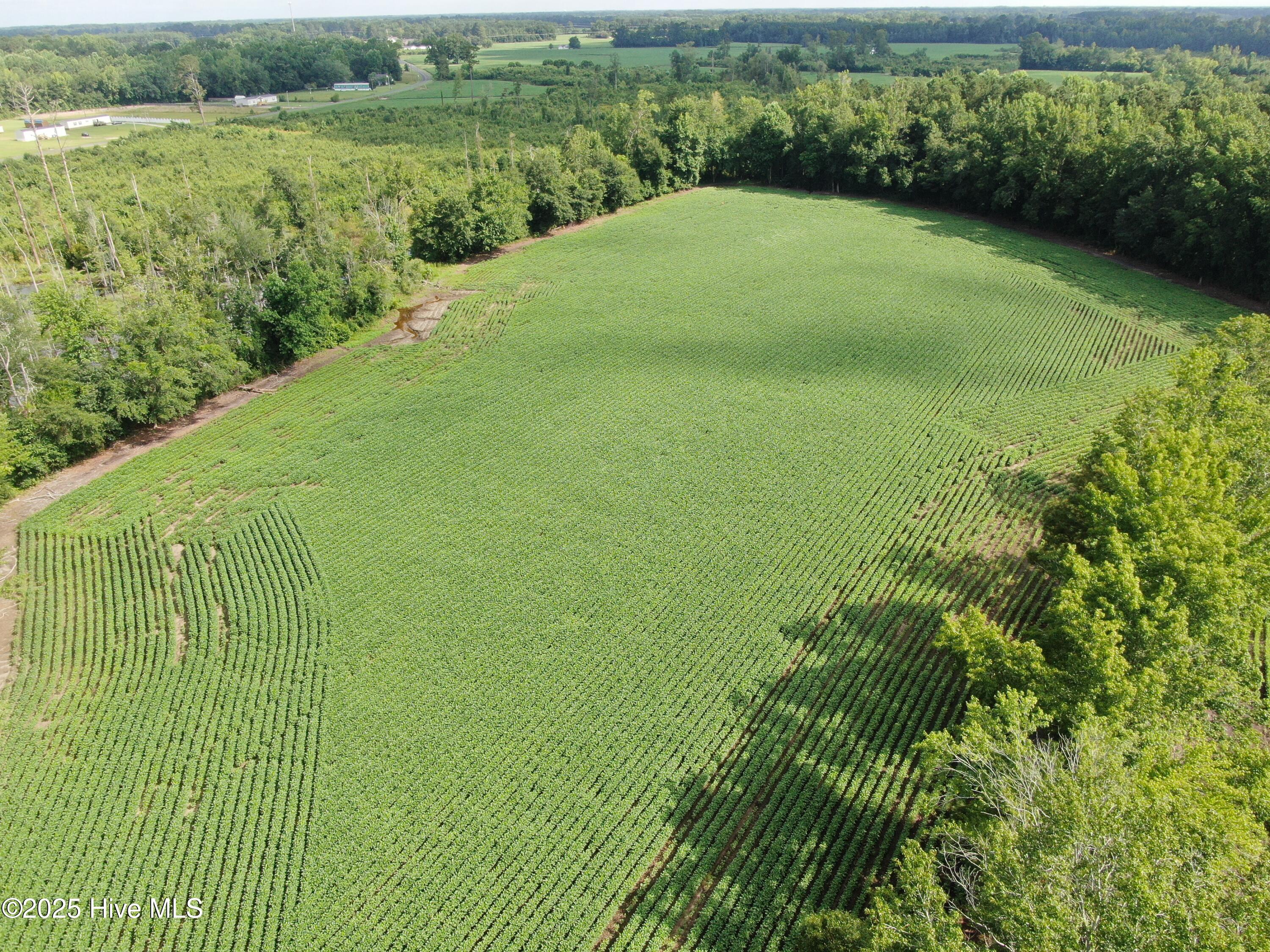 Tbd Centerville Ch Road Property Photo 7