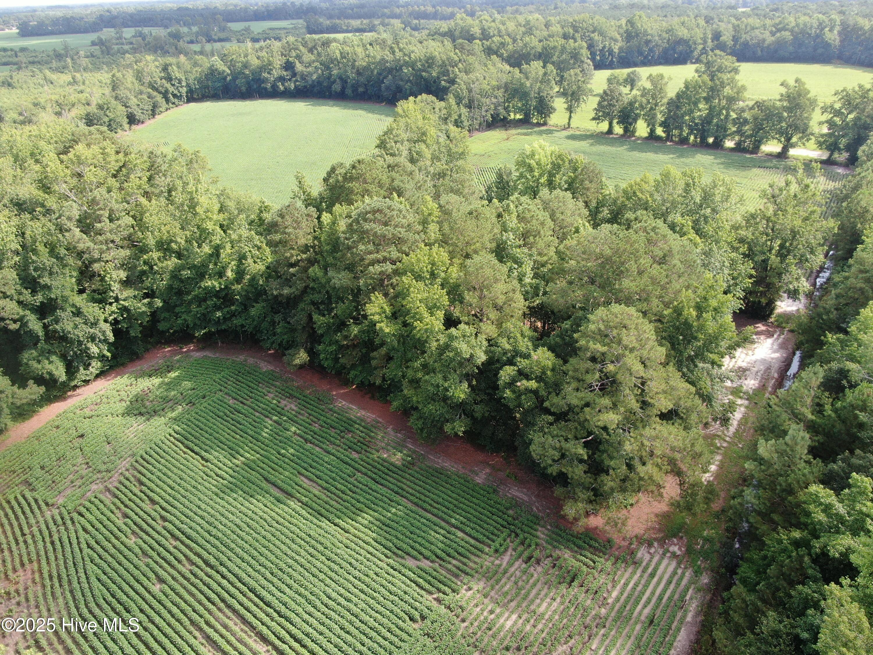 Tbd Centerville Ch Road Property Photo 8