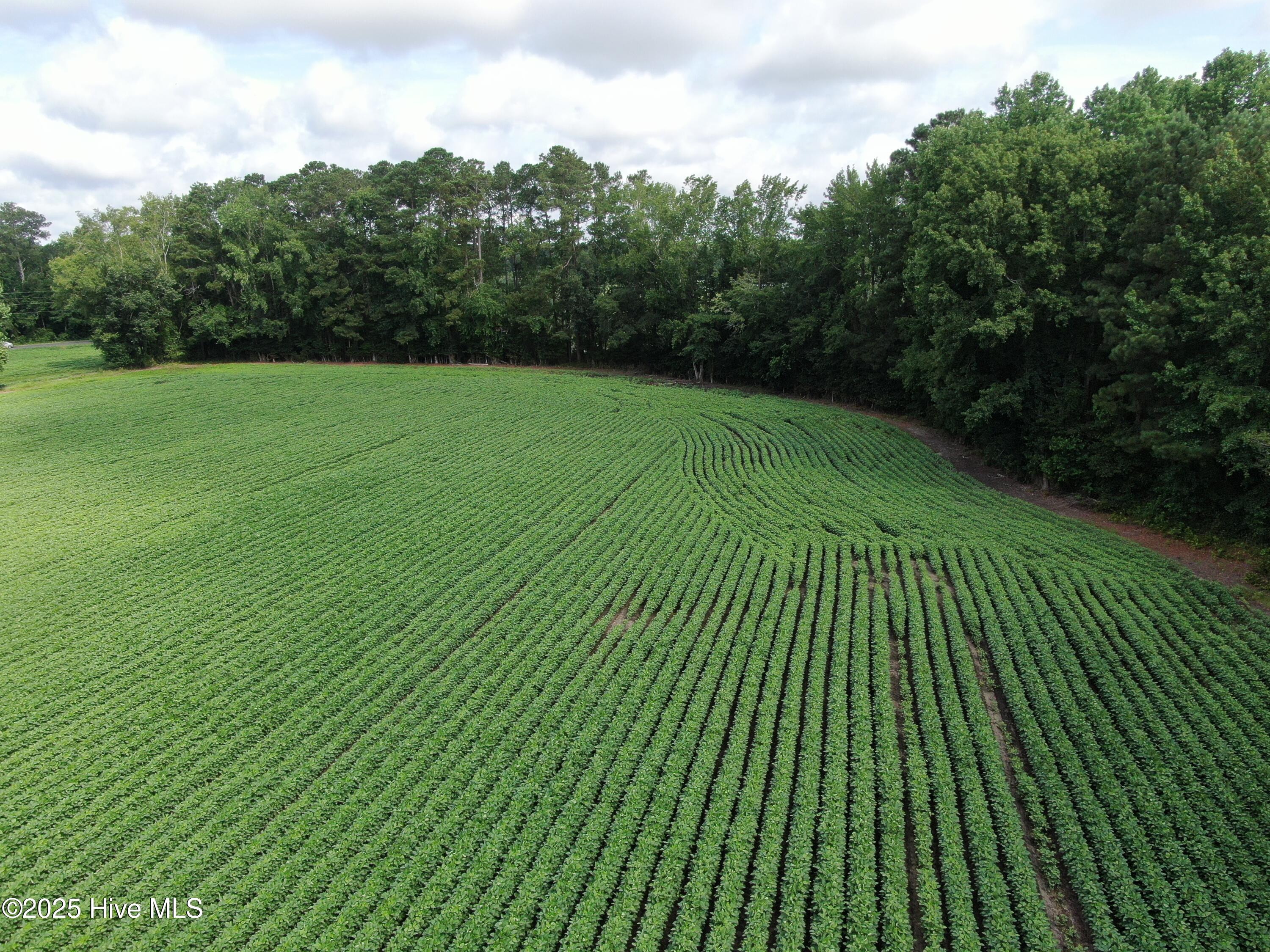 Tbd Centerville Ch Road Property Photo 9