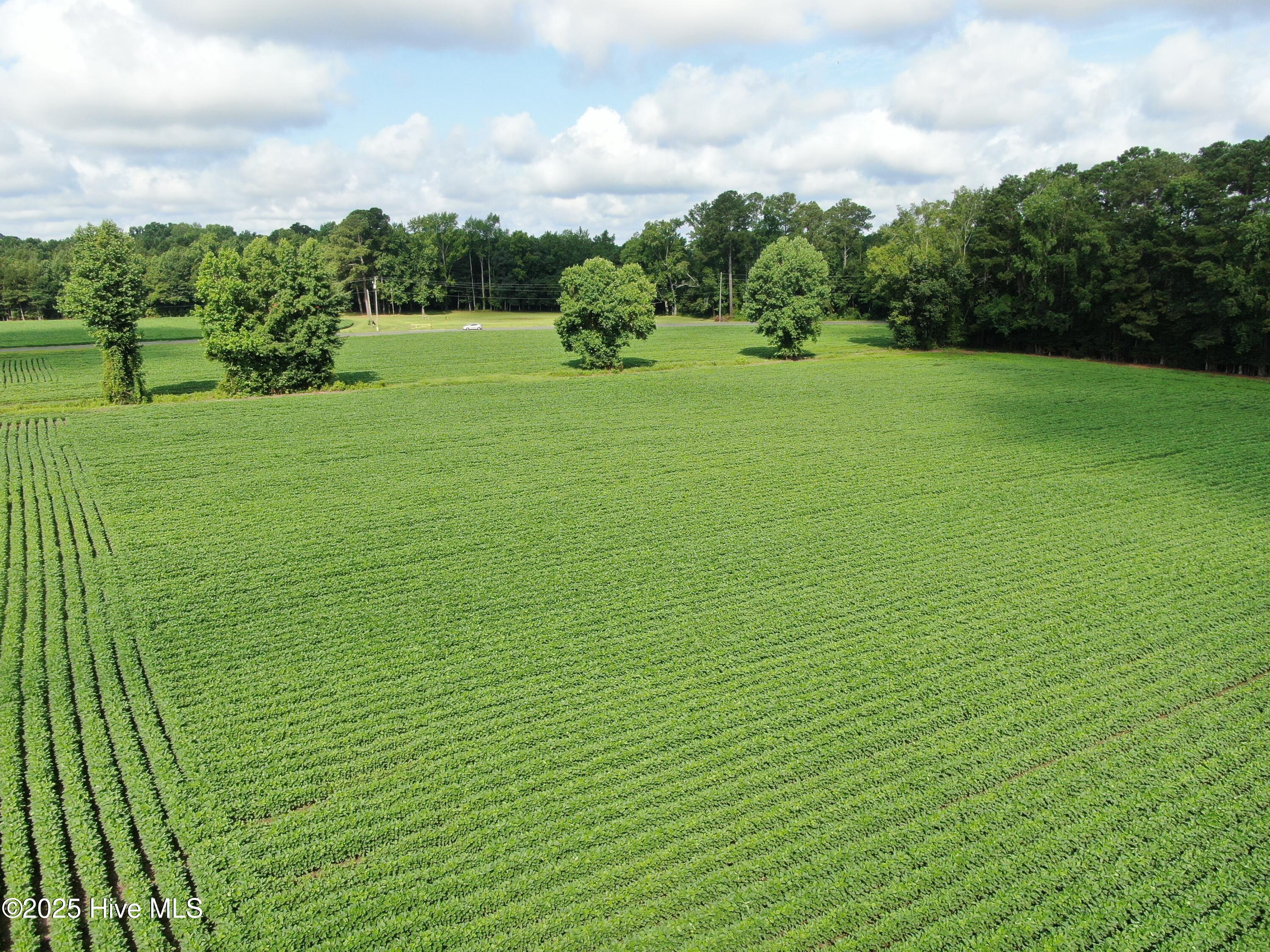 Tbd Centerville Ch Road Property Photo 10