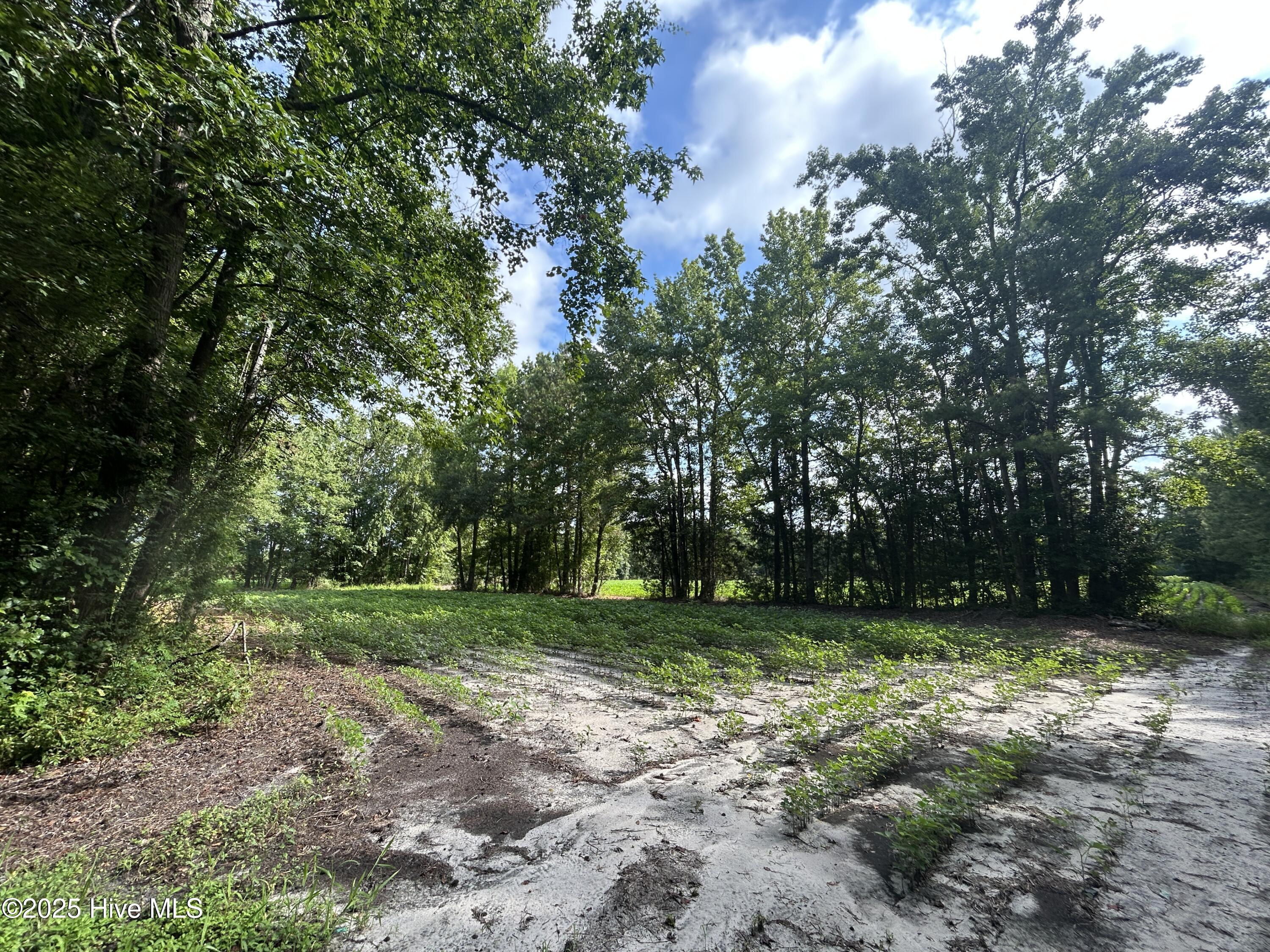 Tbd Centerville Ch Road Property Photo 12
