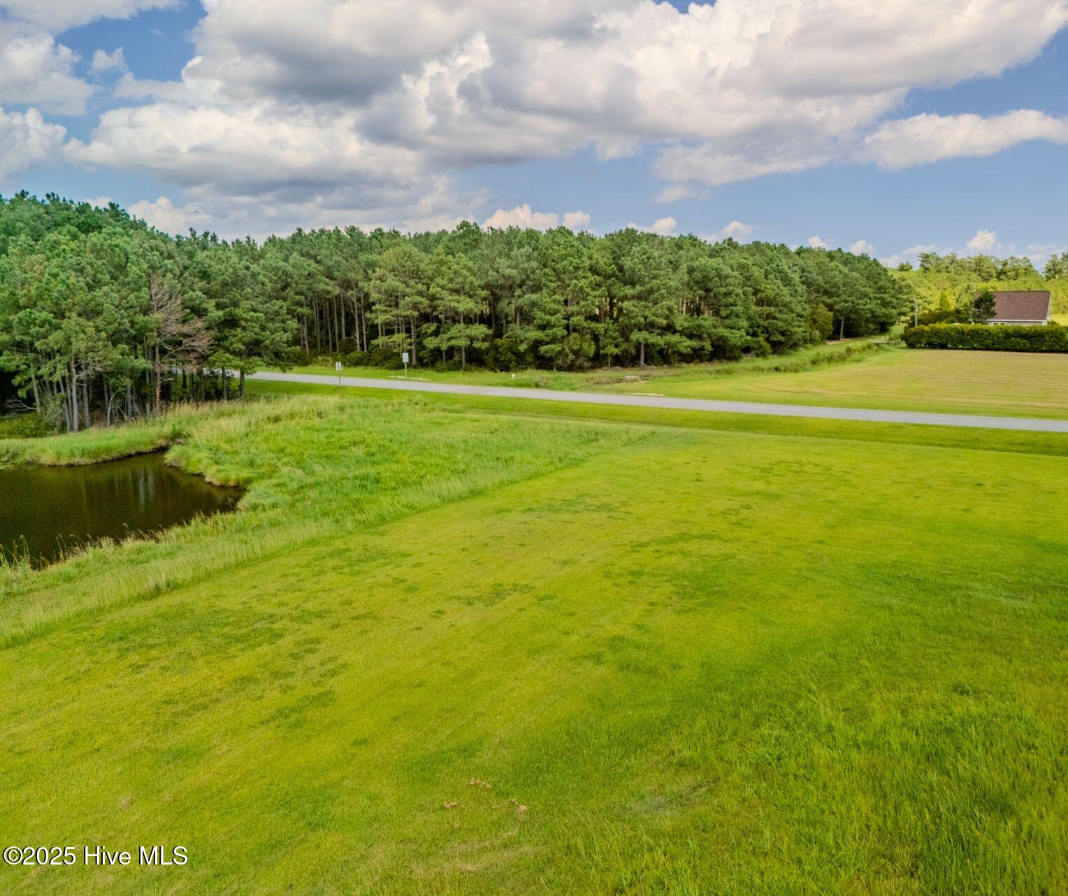 72 W Dowry Creek Property Photo 7