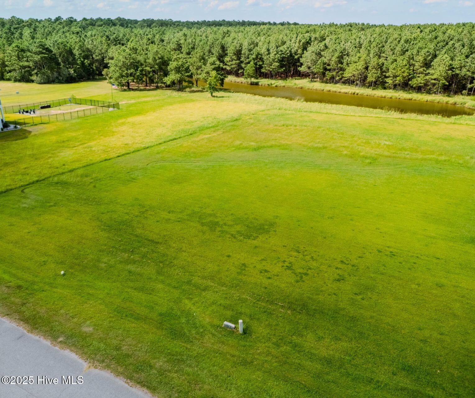 72 W Dowry Creek Property Photo 8