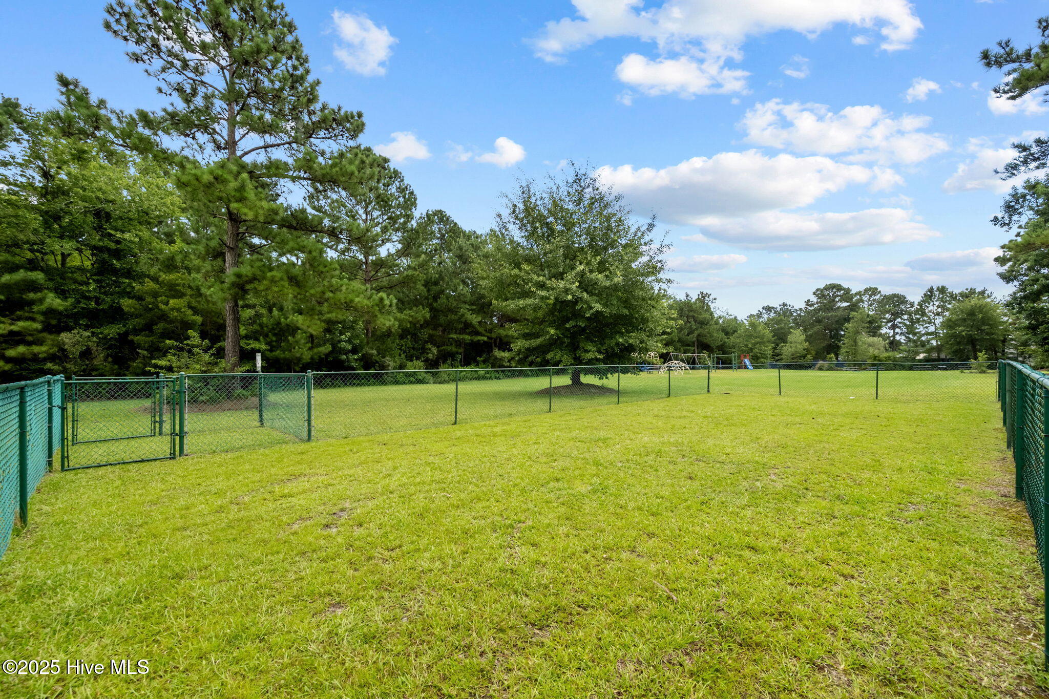 525 Cherry Blossom Lane Property Photo 32
