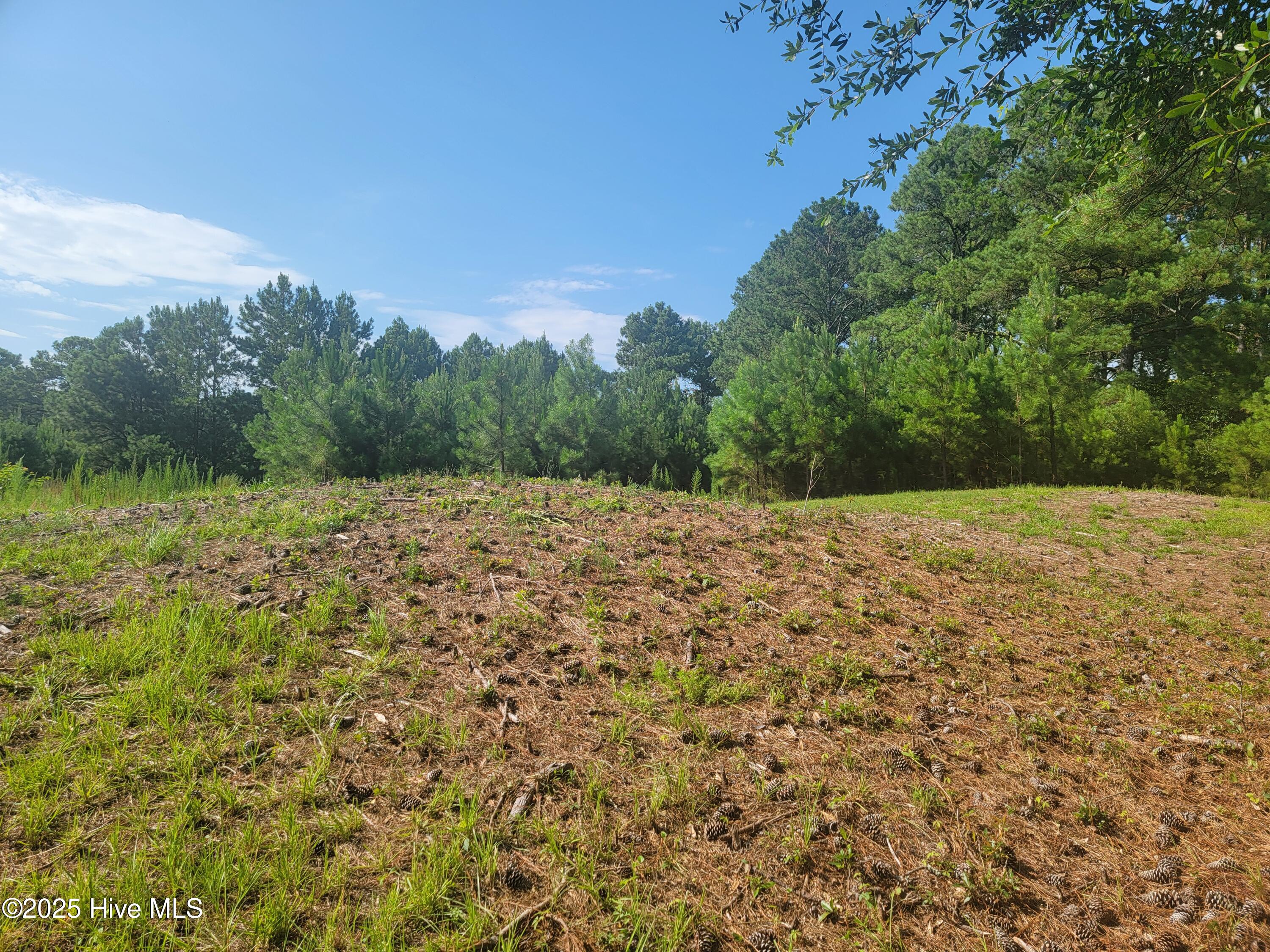 7500 Wallace Place Property Photo 3
