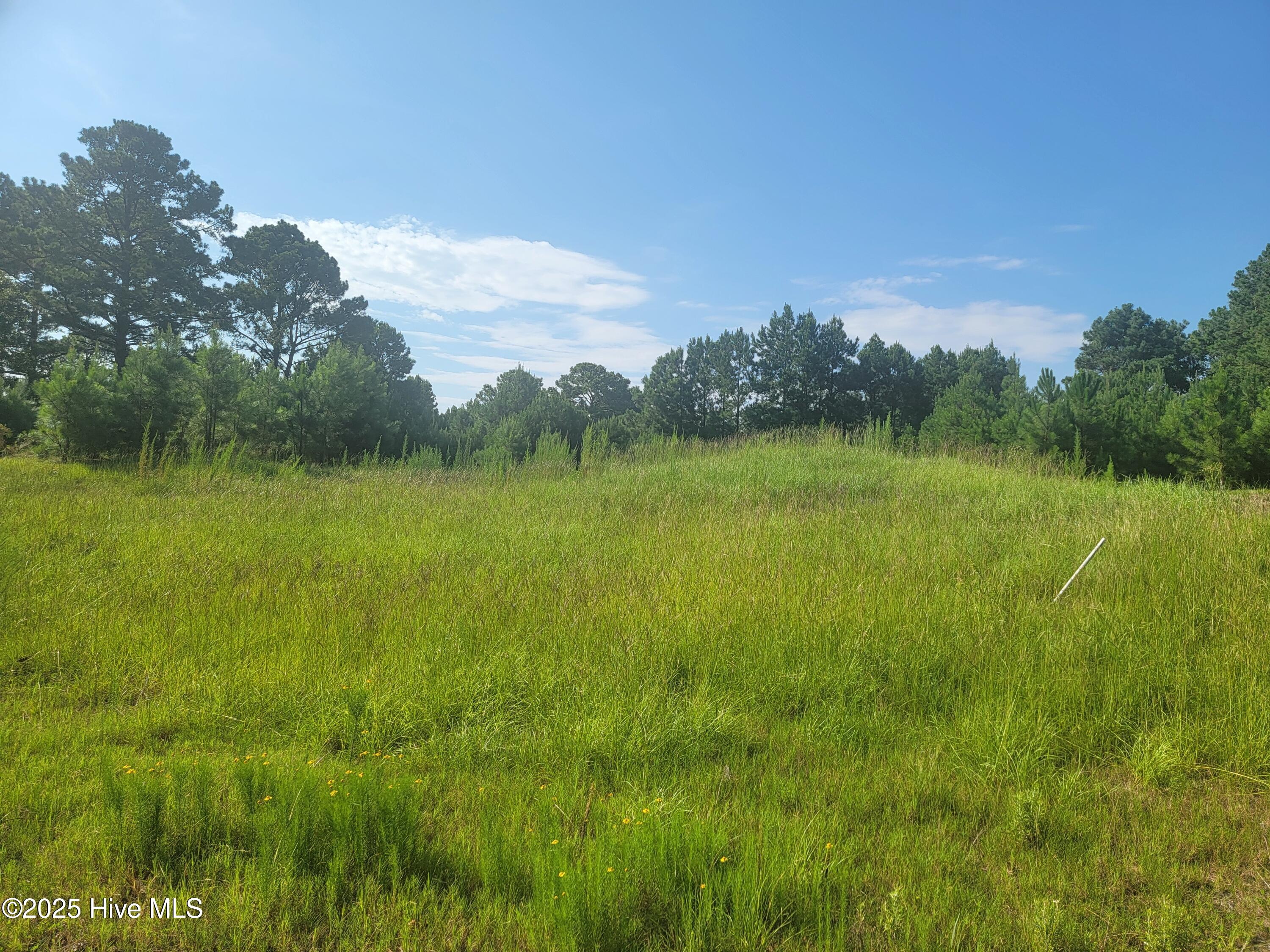 7500 Wallace Place Property Photo 4
