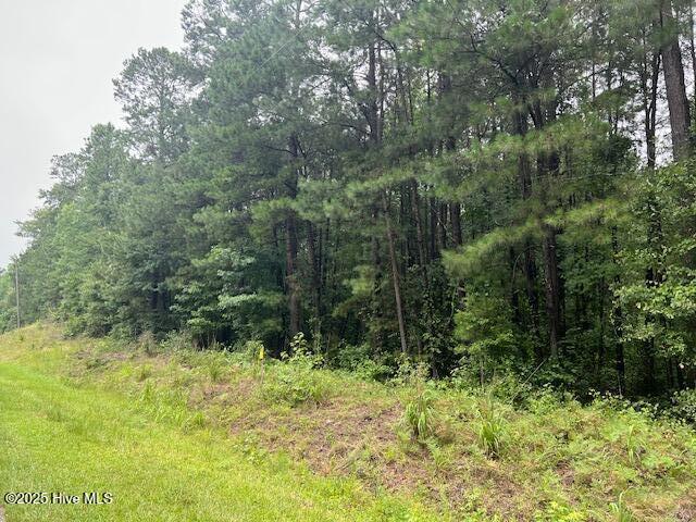 00 Loop Road Road Property Photo 1
