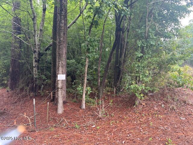 00 Loop Road Road Property Photo 3
