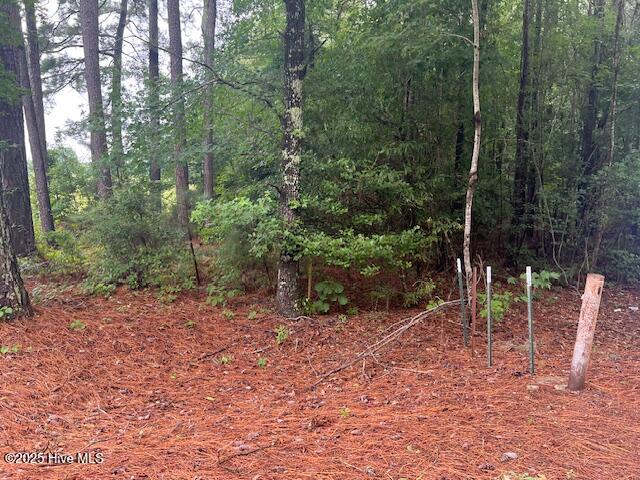 00 Loop Road Road Property Photo 4