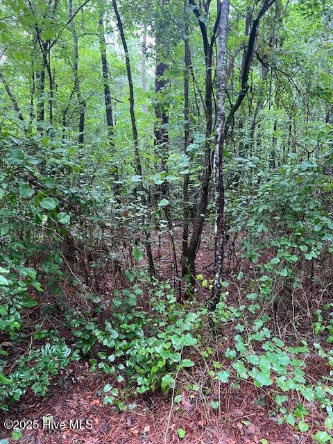 00 Loop Road Road Property Photo 10