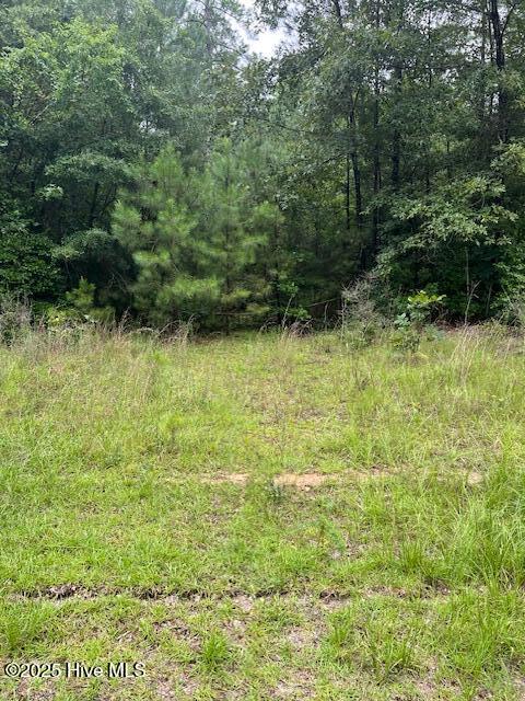 00 Loop Road Road Property Photo 11