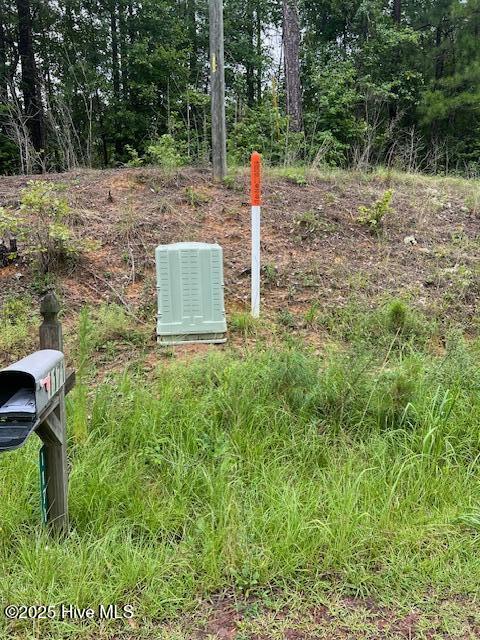 00 Loop Road Road Property Photo 12
