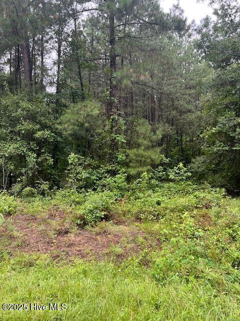 00 Loop Road Road Property Photo 14