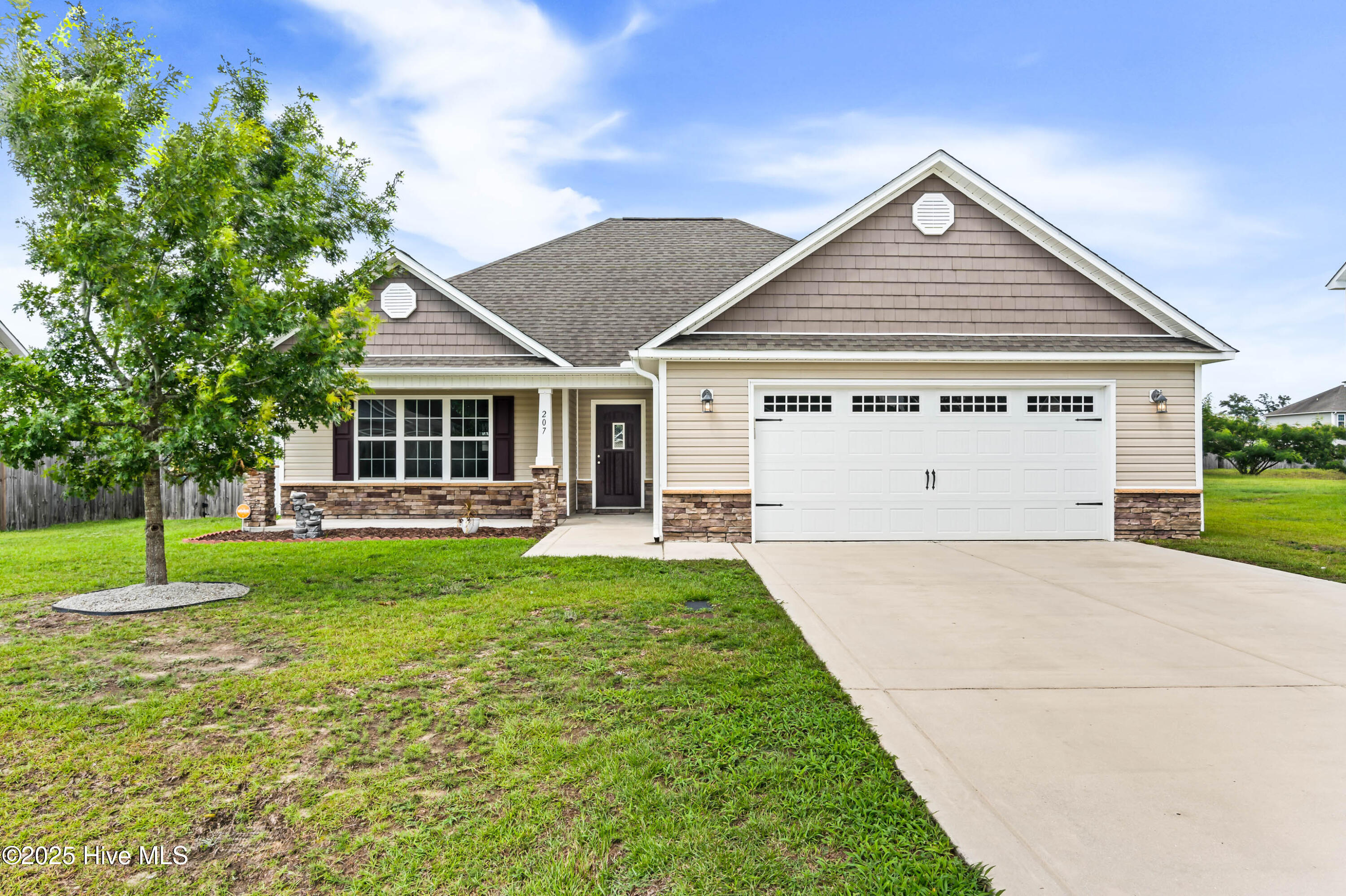 207 Long Neck Drive Property Photo 1