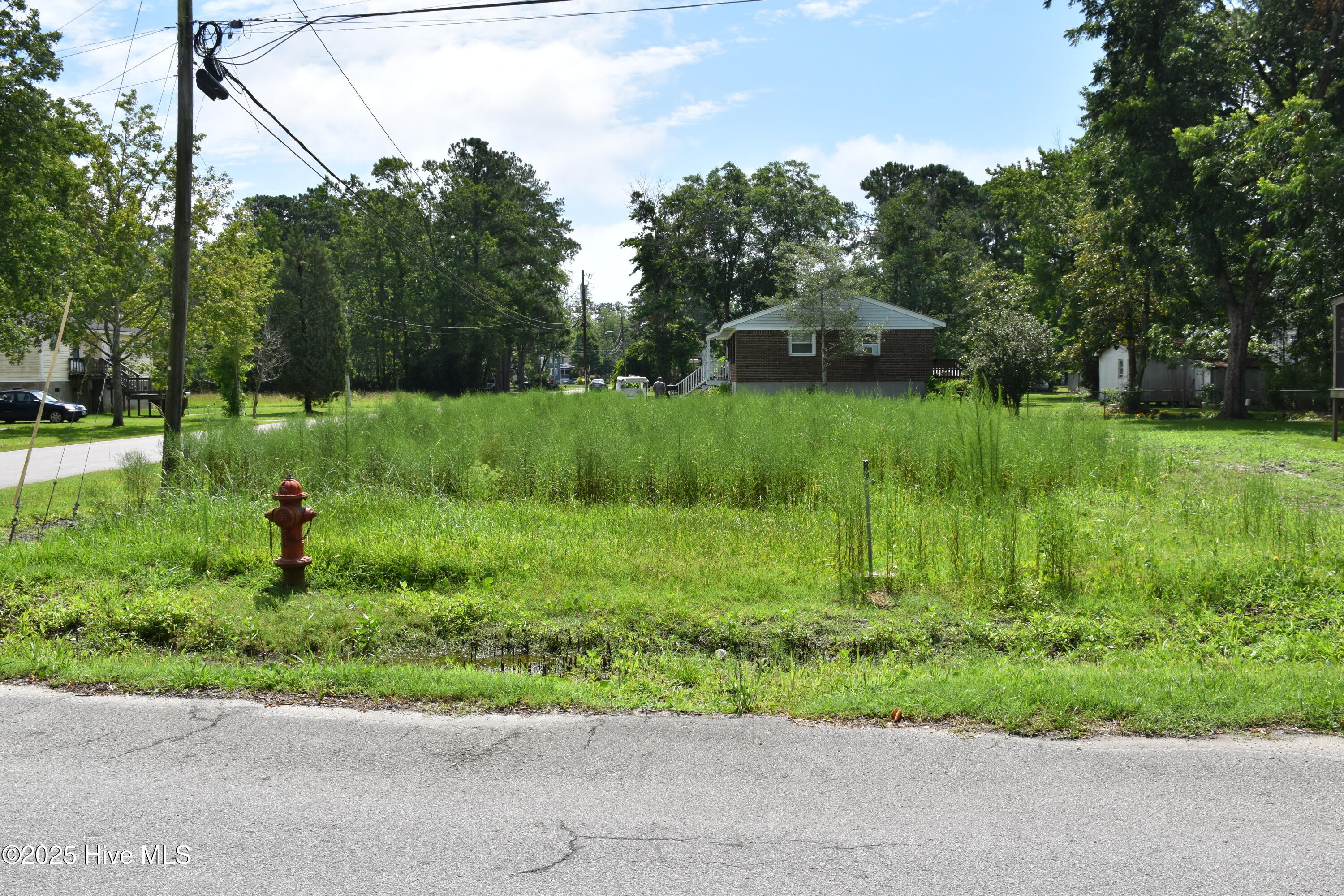 0 Latham Cedar Street Property Photo 1