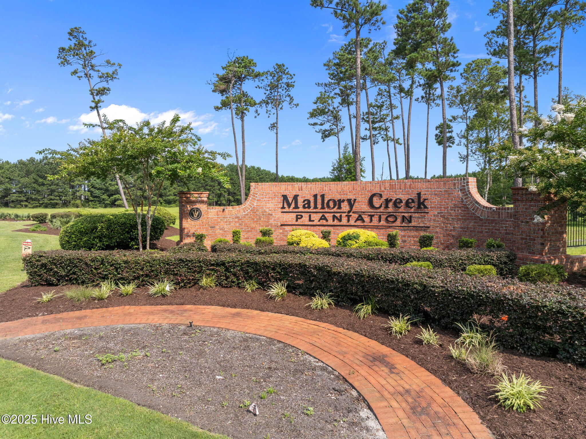 123 Cove Landing Property Photo 43