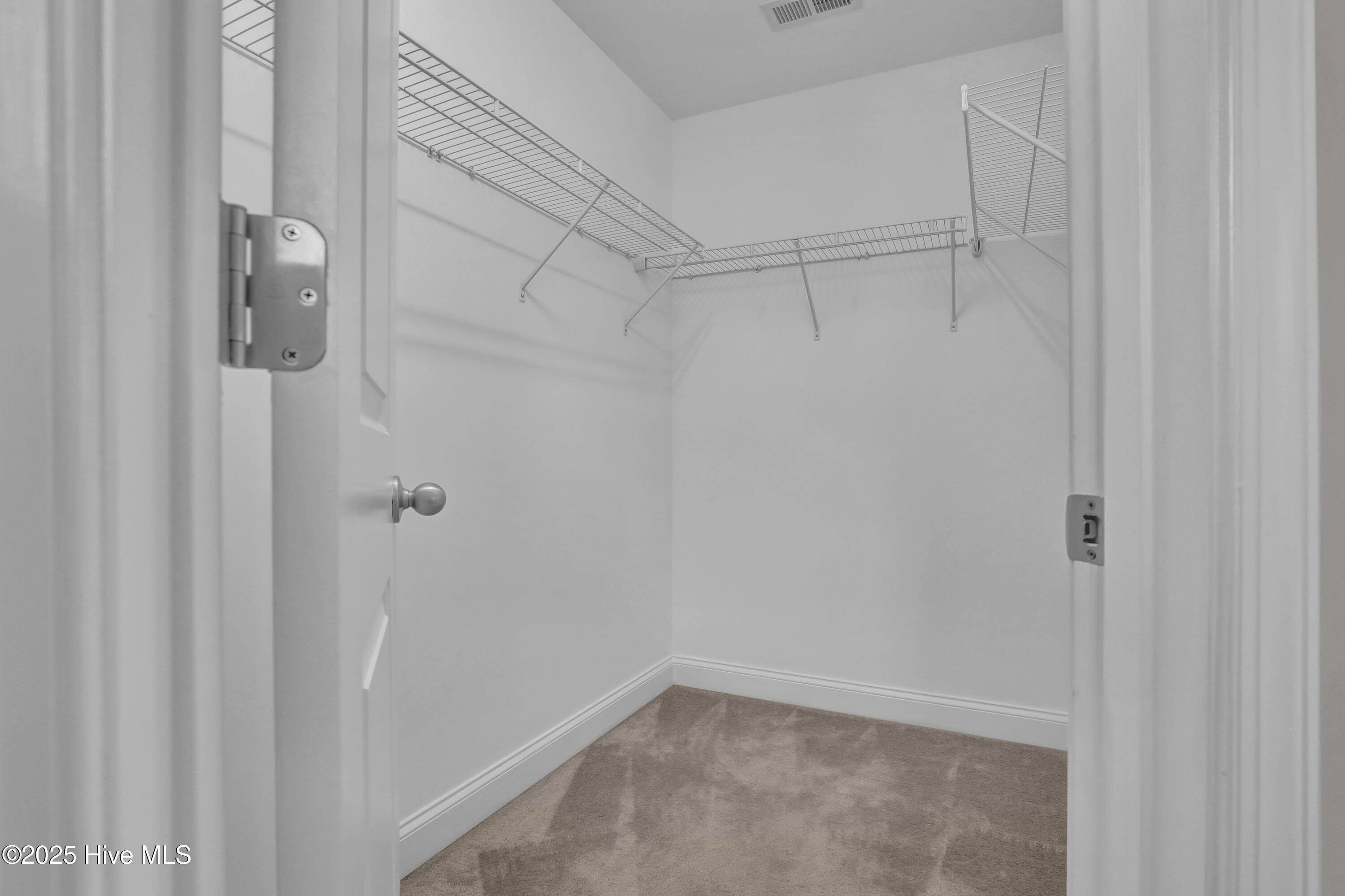 408 Canvasback Lane Property Photo 19